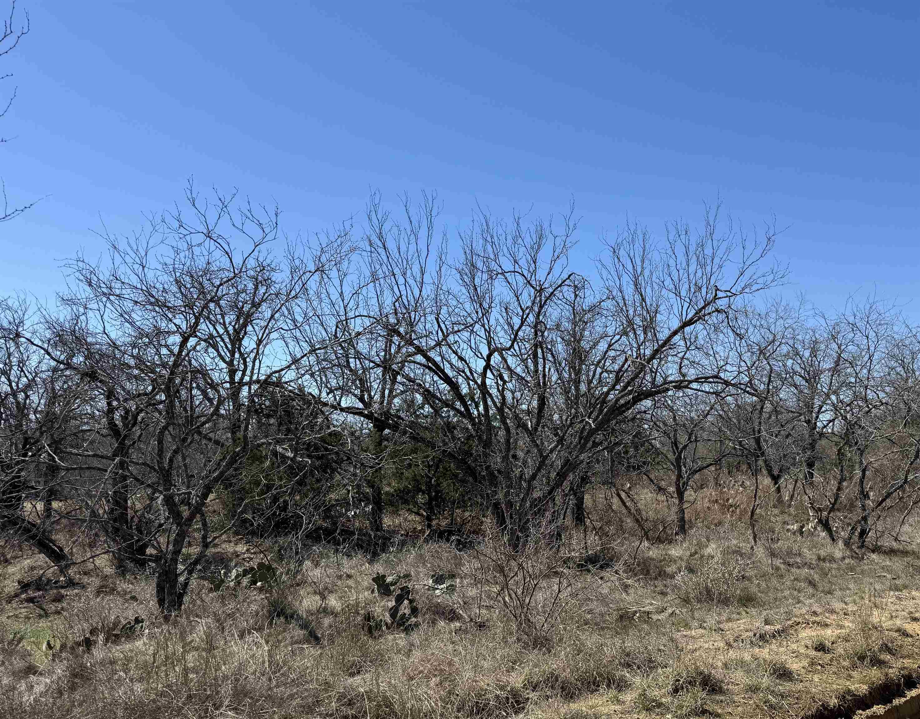 Lot 102 Ridgemont Drive