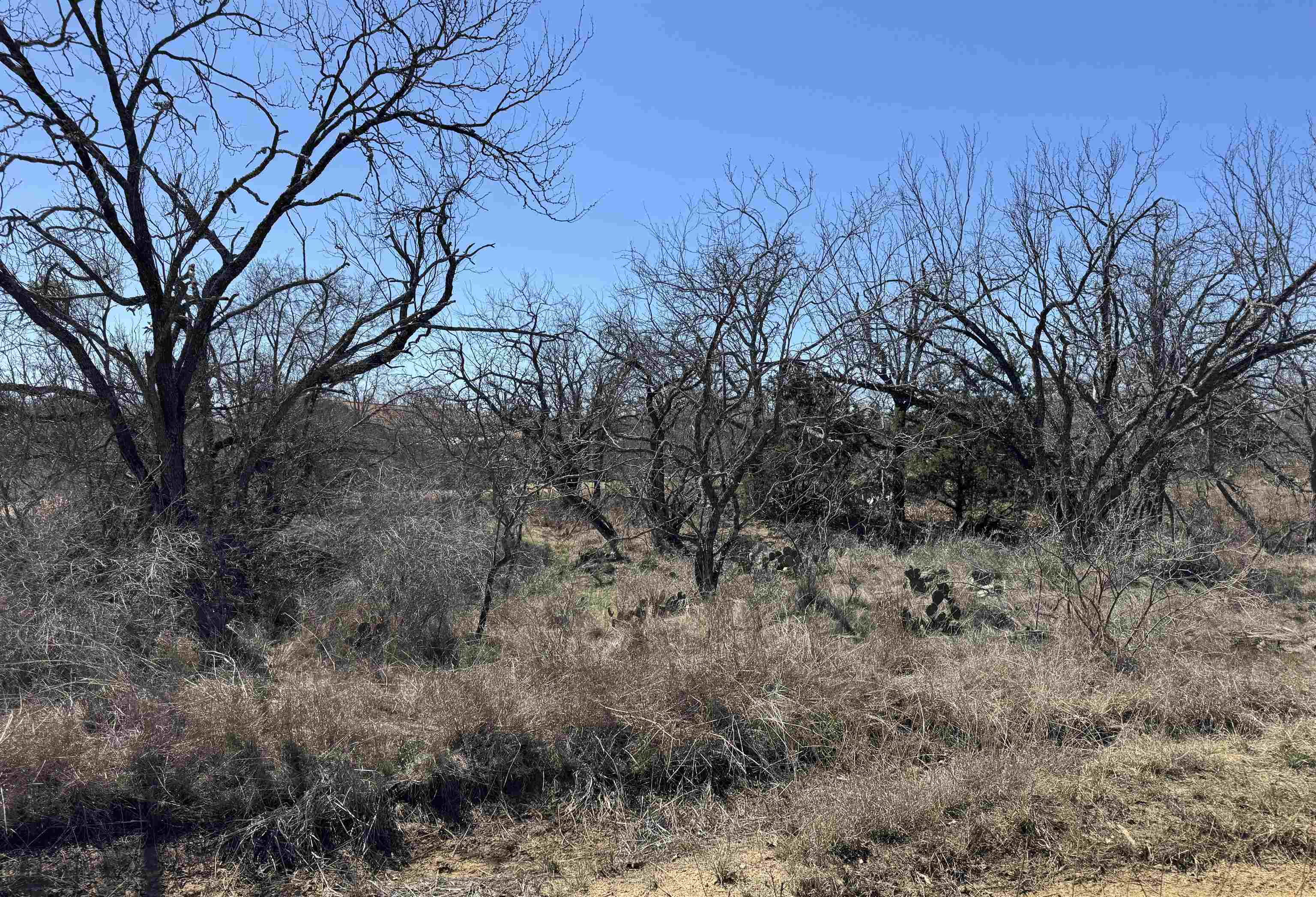 Lot 102 Ridgemont Drive