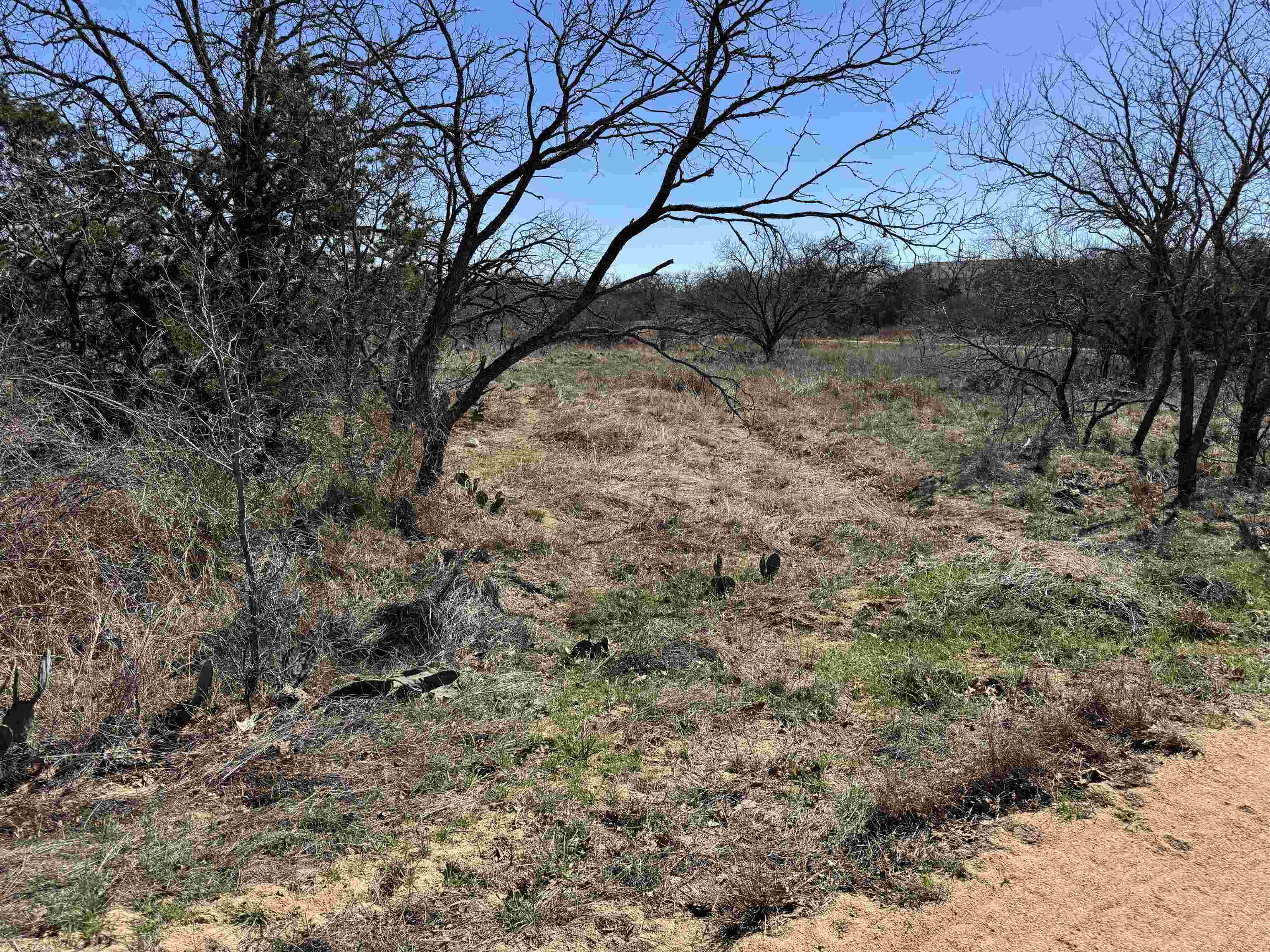 Lot 103 Ridgemont Drive