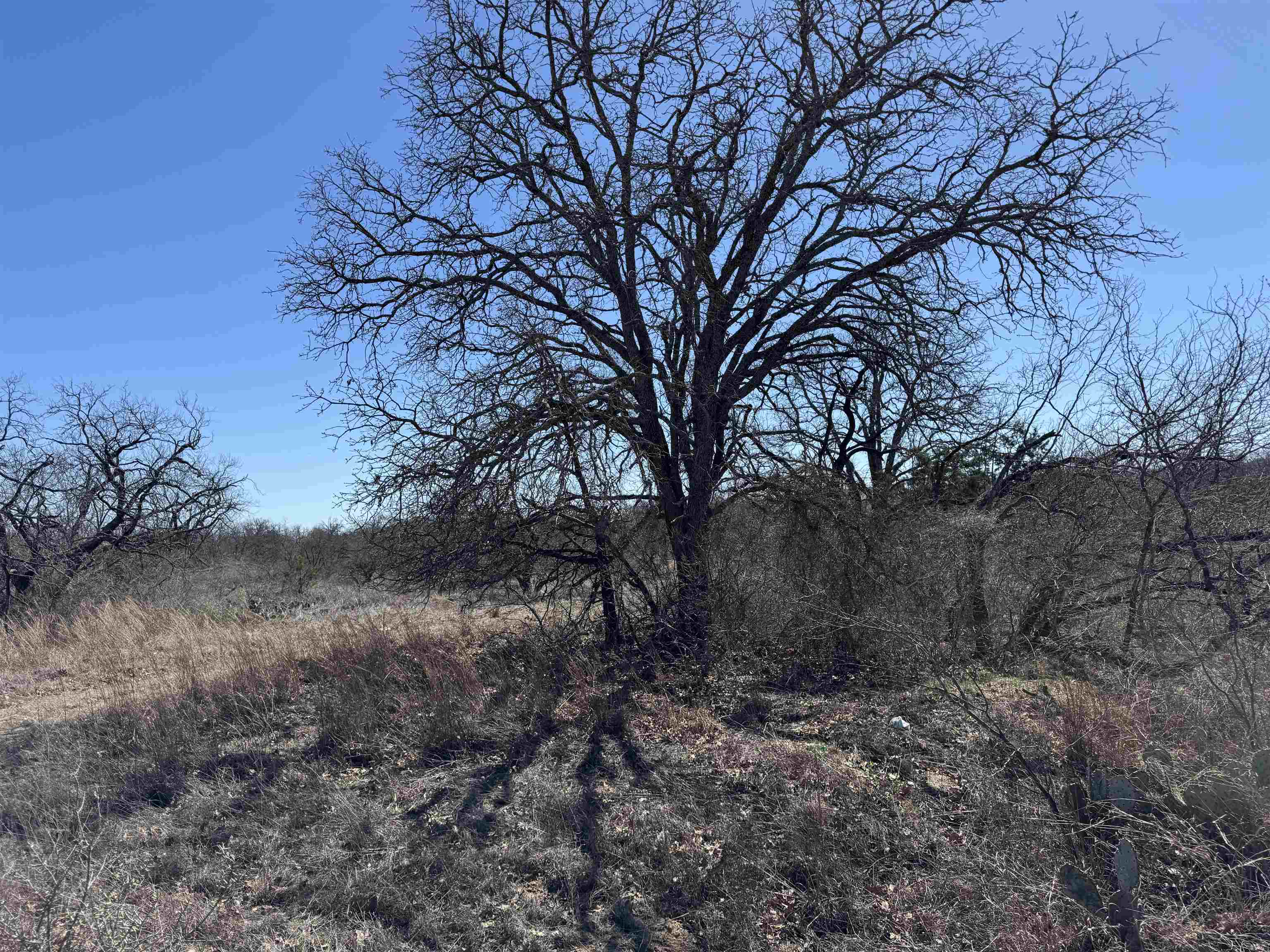 Lot 103 Ridgemont Drive