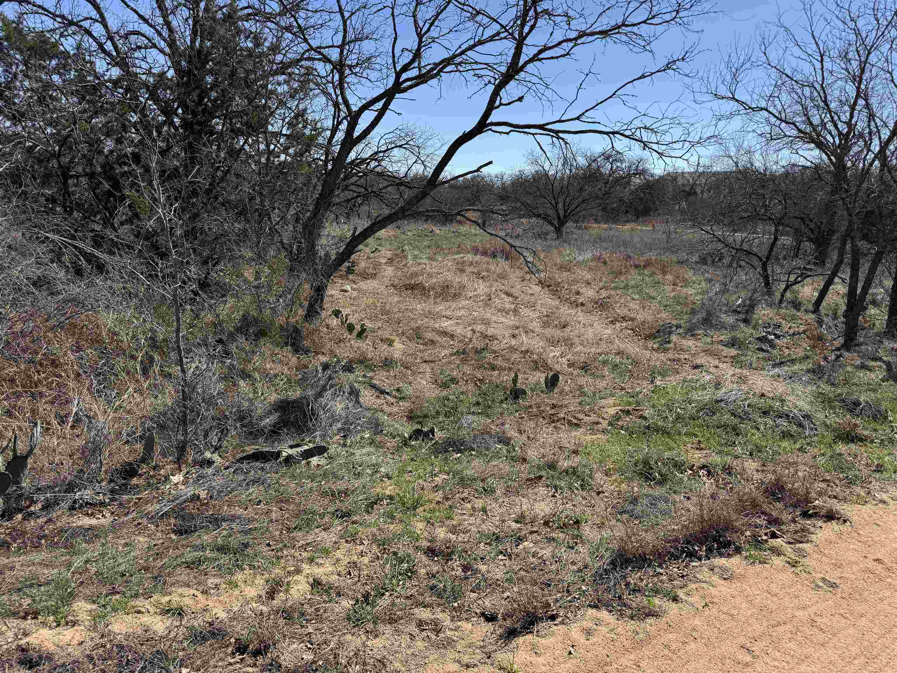 Lot 103 Ridgemont Drive