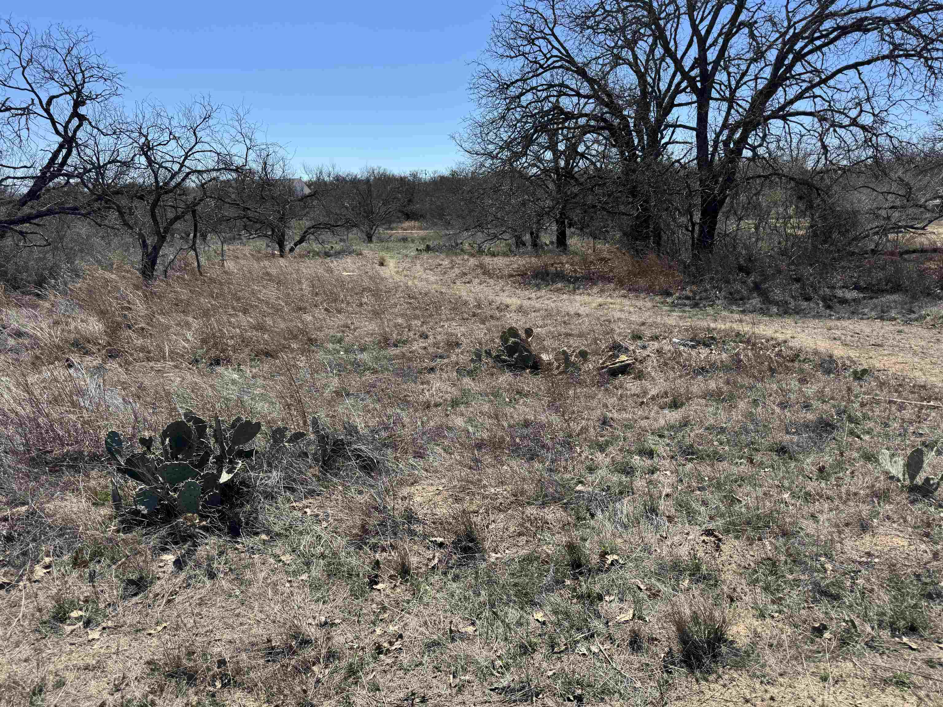 Lot 103 Ridgemont Drive