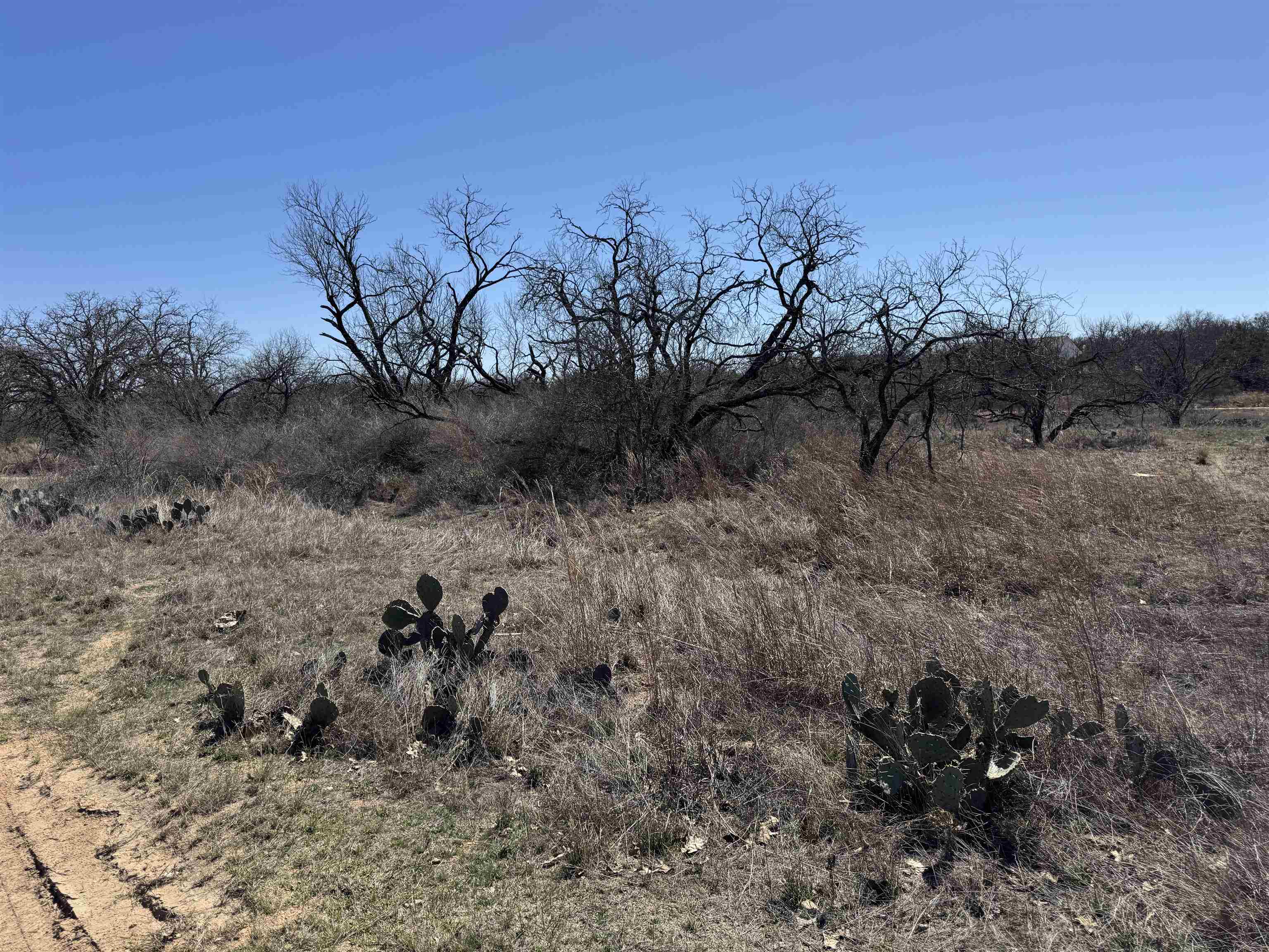Lot 103 Ridgemont Drive