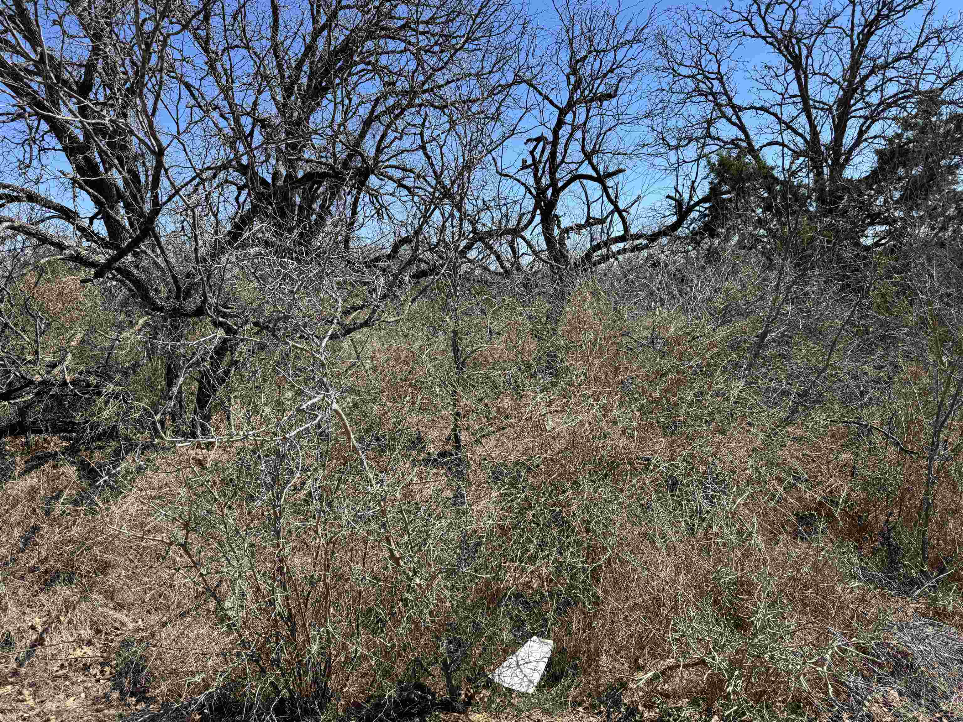 Lot 103 Ridgemont Drive