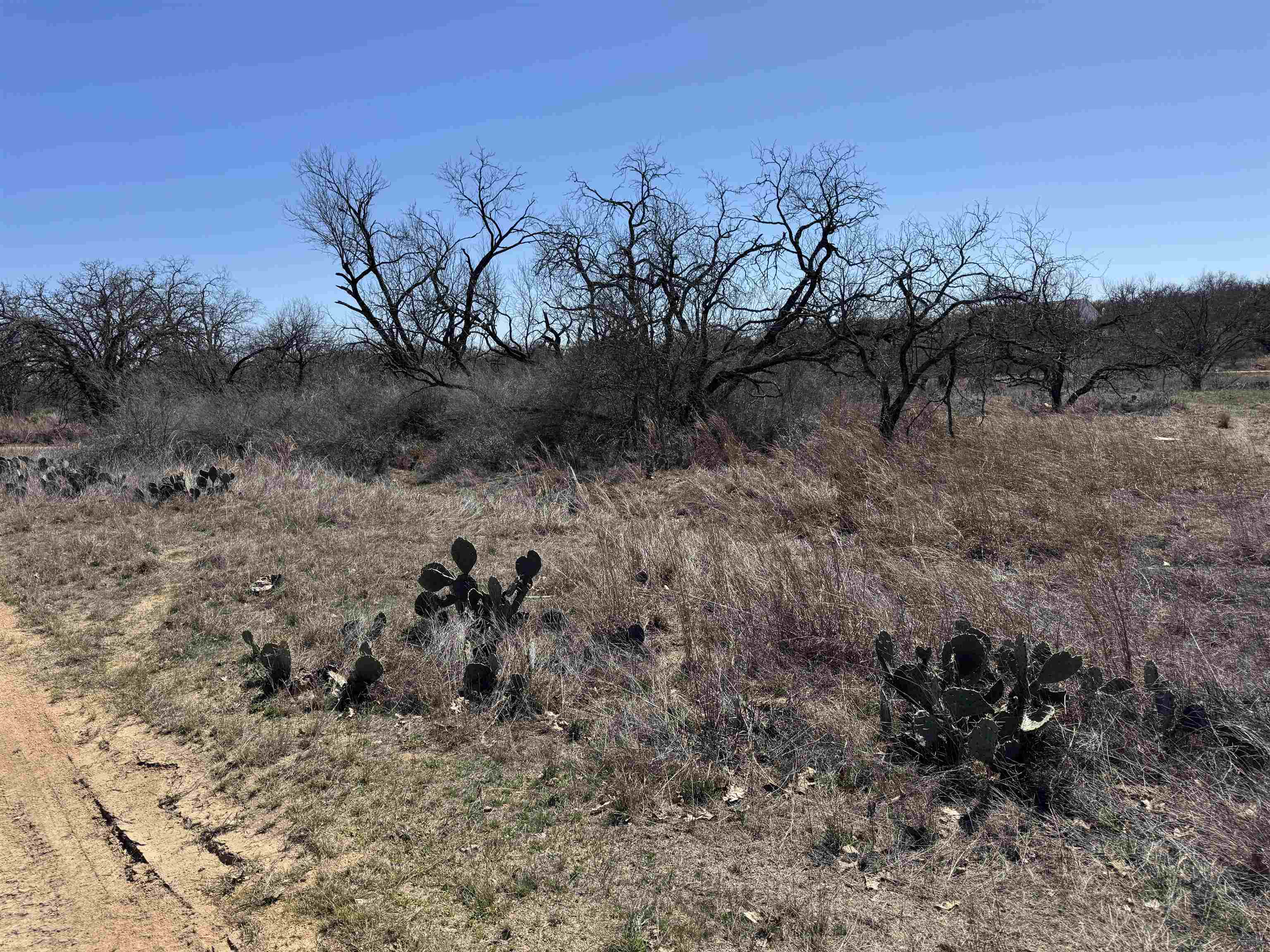 Lot 103 Ridgemont Drive