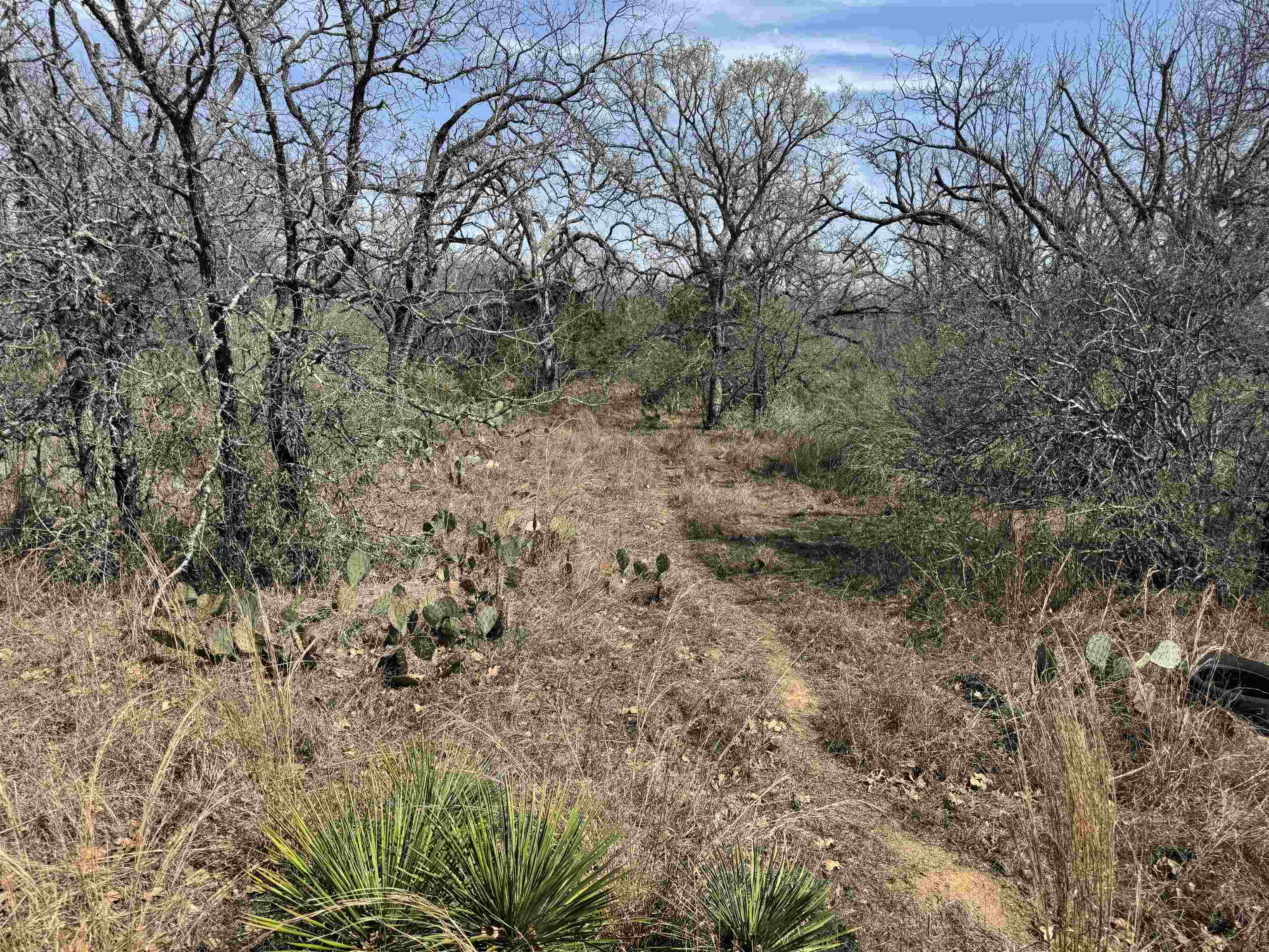 Lot 300-304 Link/Pinemont Drive