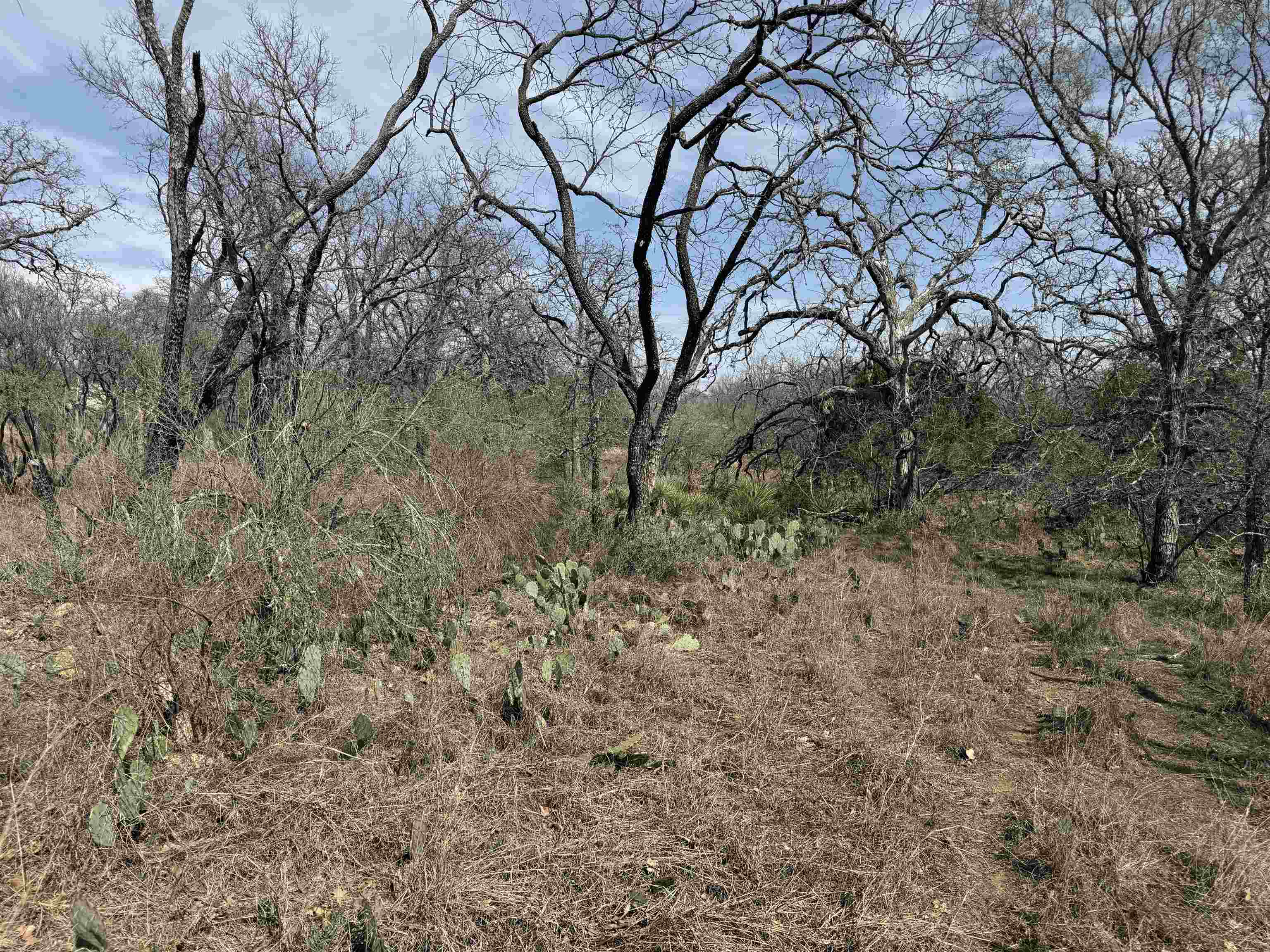 Lot 300-304 Link/Pinemont Drive