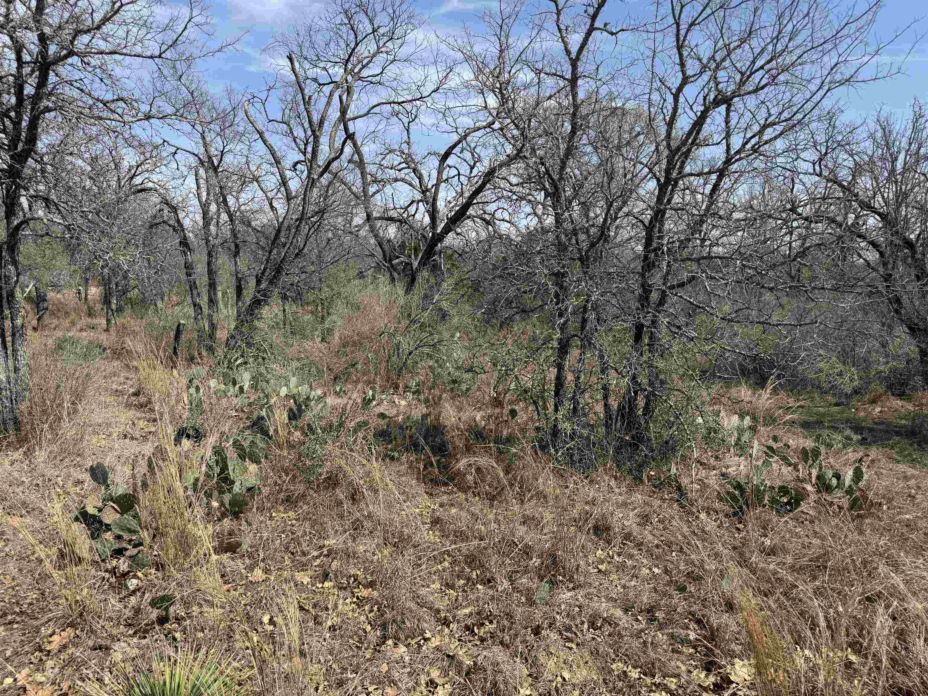 Lot 300-304 Link/Pinemont Drive