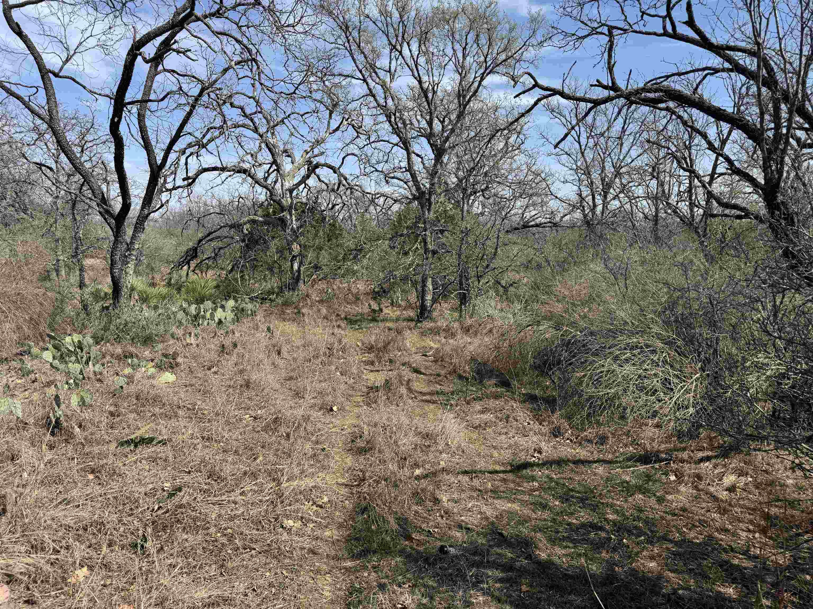 Lot 294 Pinemont Drive