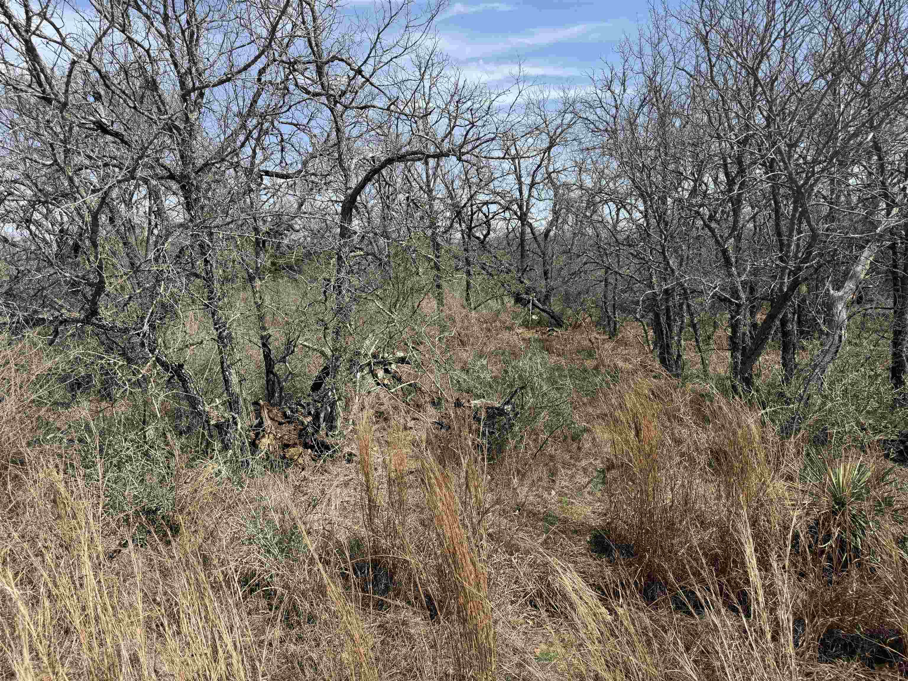 Lot 294 Pinemont Drive