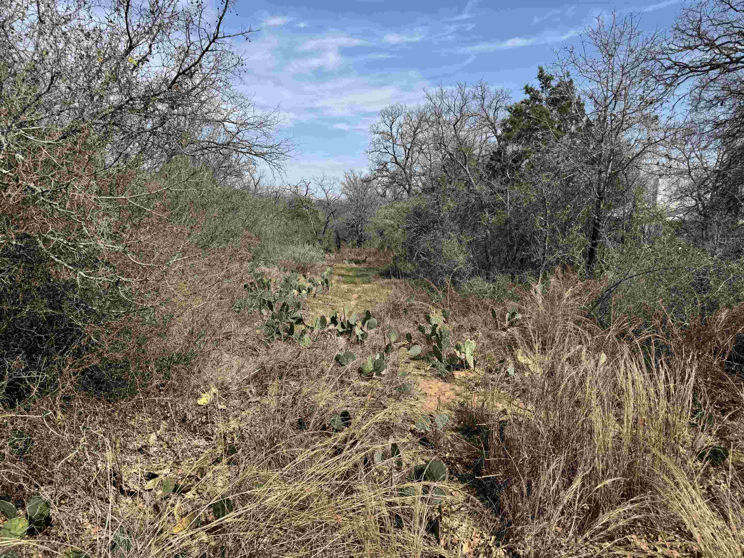 Lot 295 Pinemont Drive
