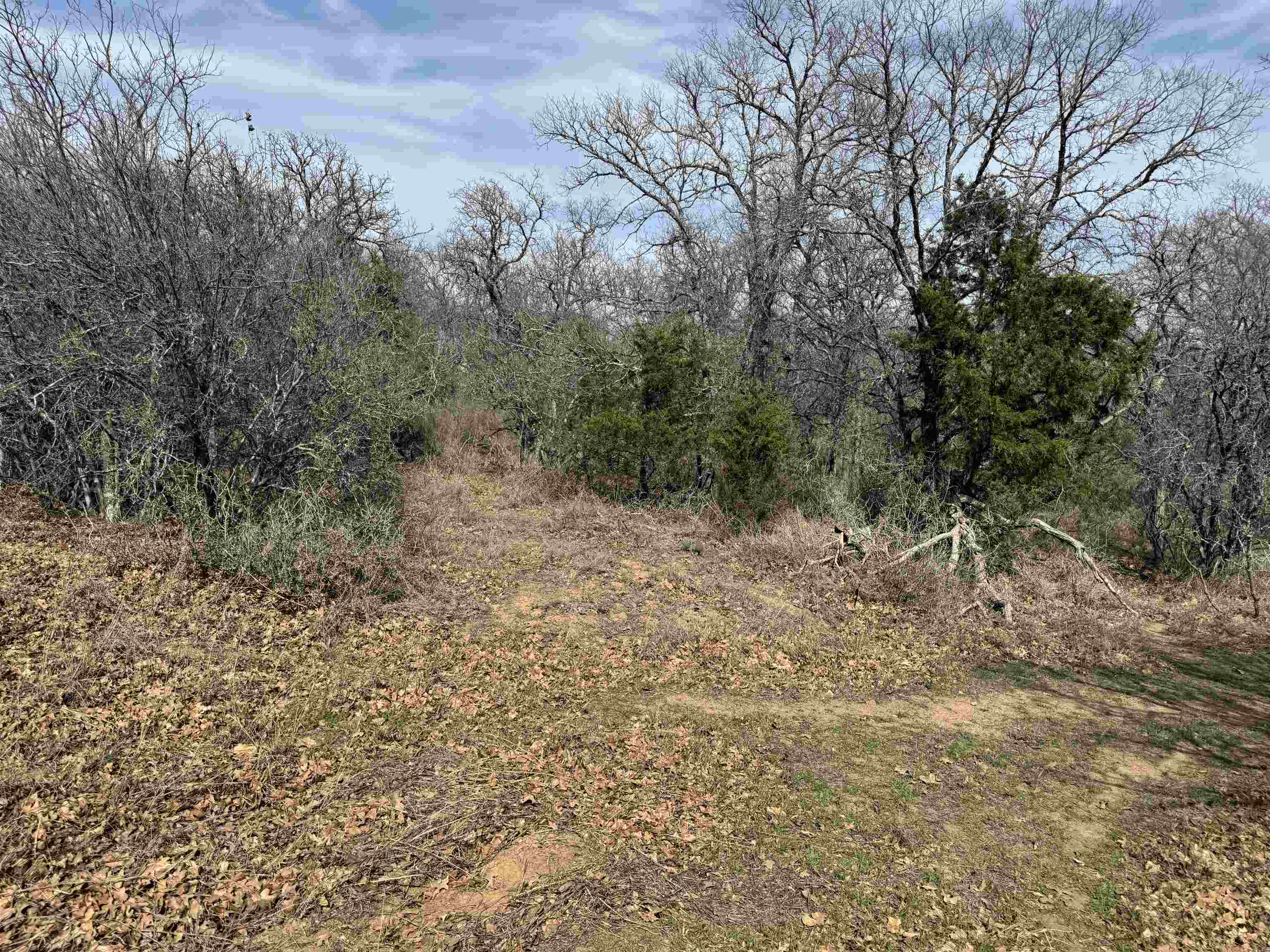 Lot 275-282 Aspermont Drive