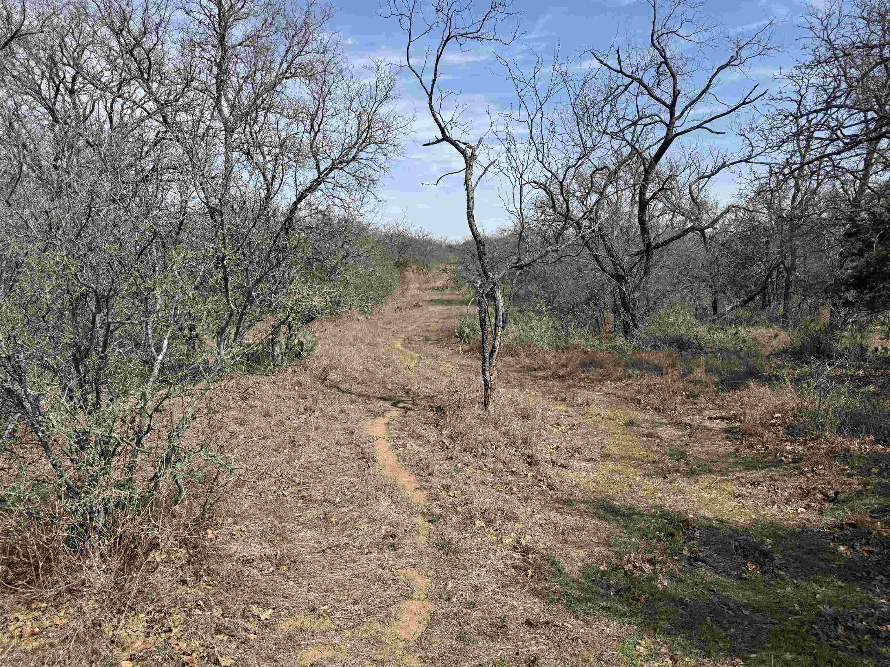 Lot 275-282 Aspermont Drive