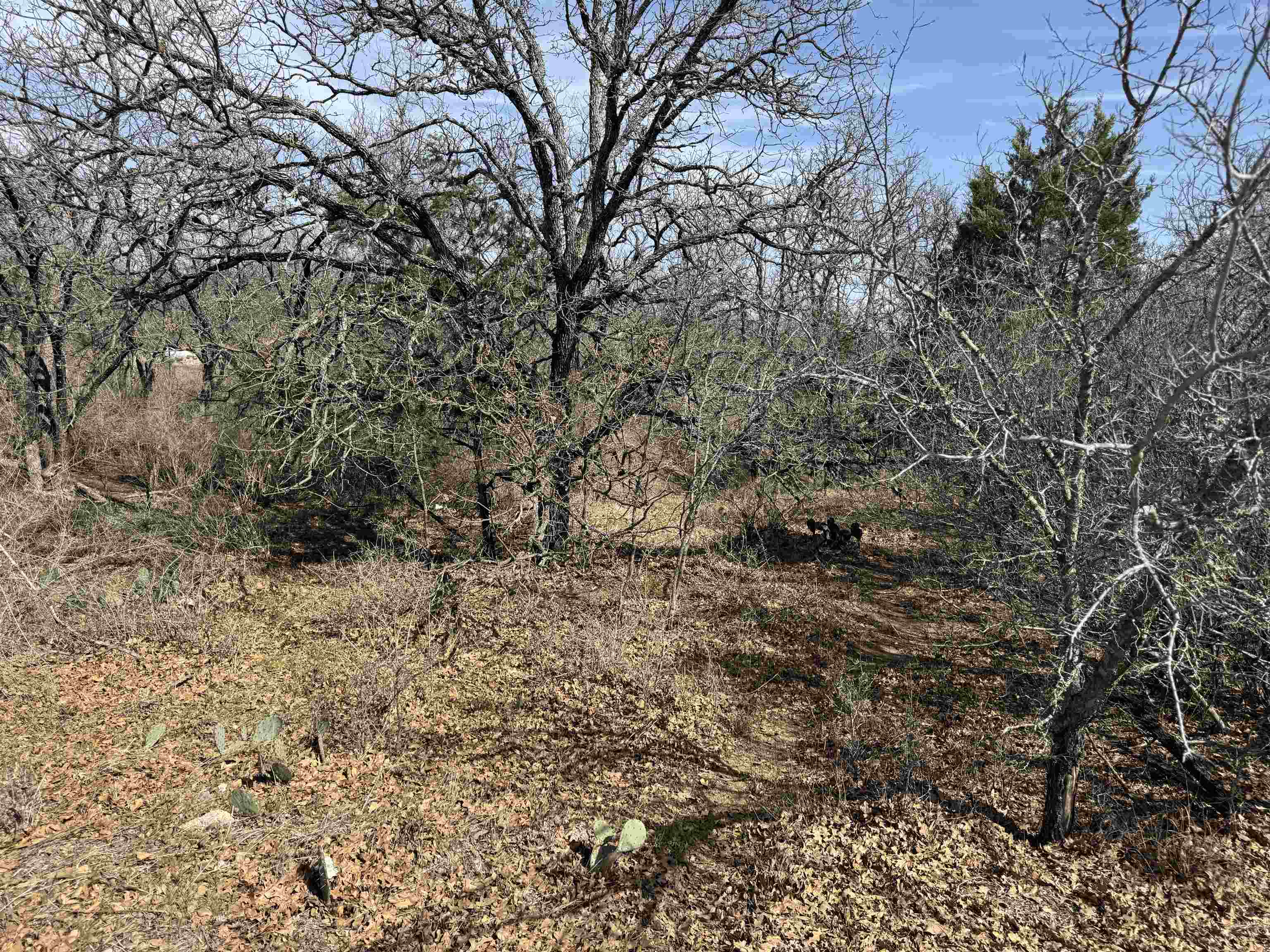 Lot 283-289 Aspermont Drive