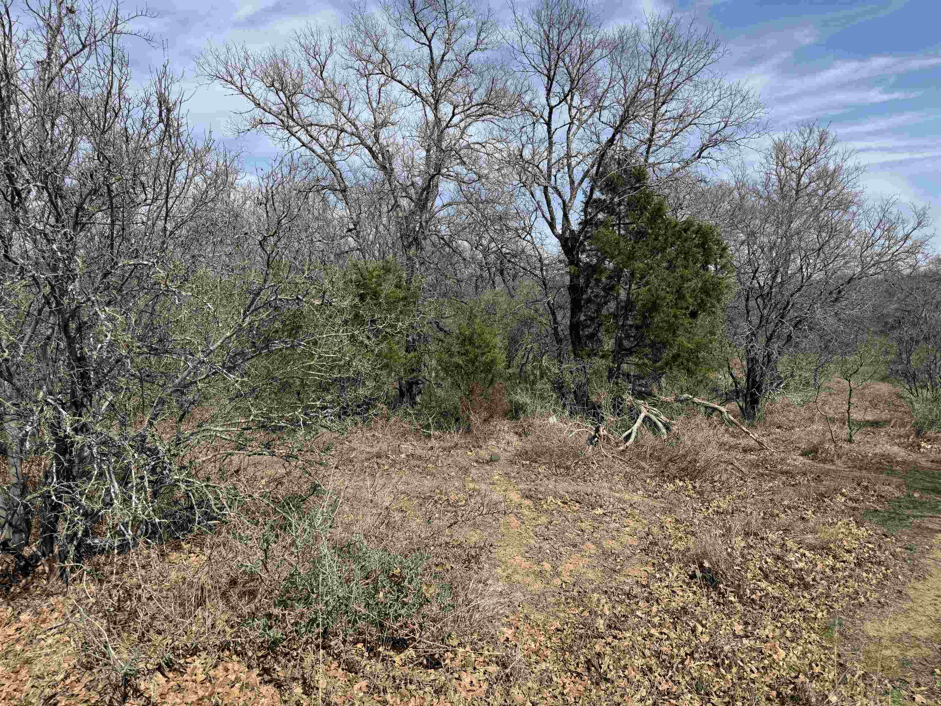 Lot 283-289 Aspermont Drive