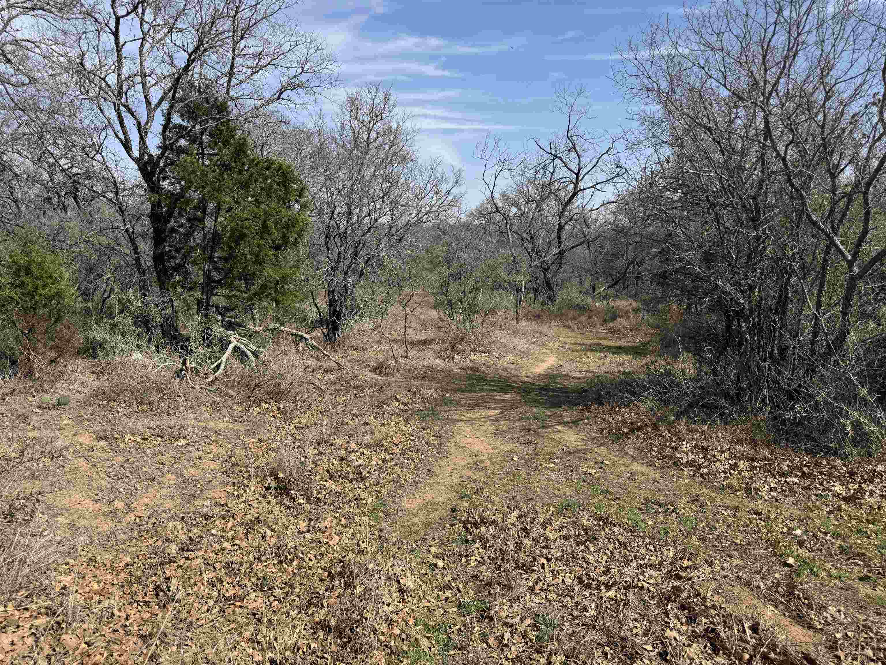 Lot 283-289 Aspermont Drive