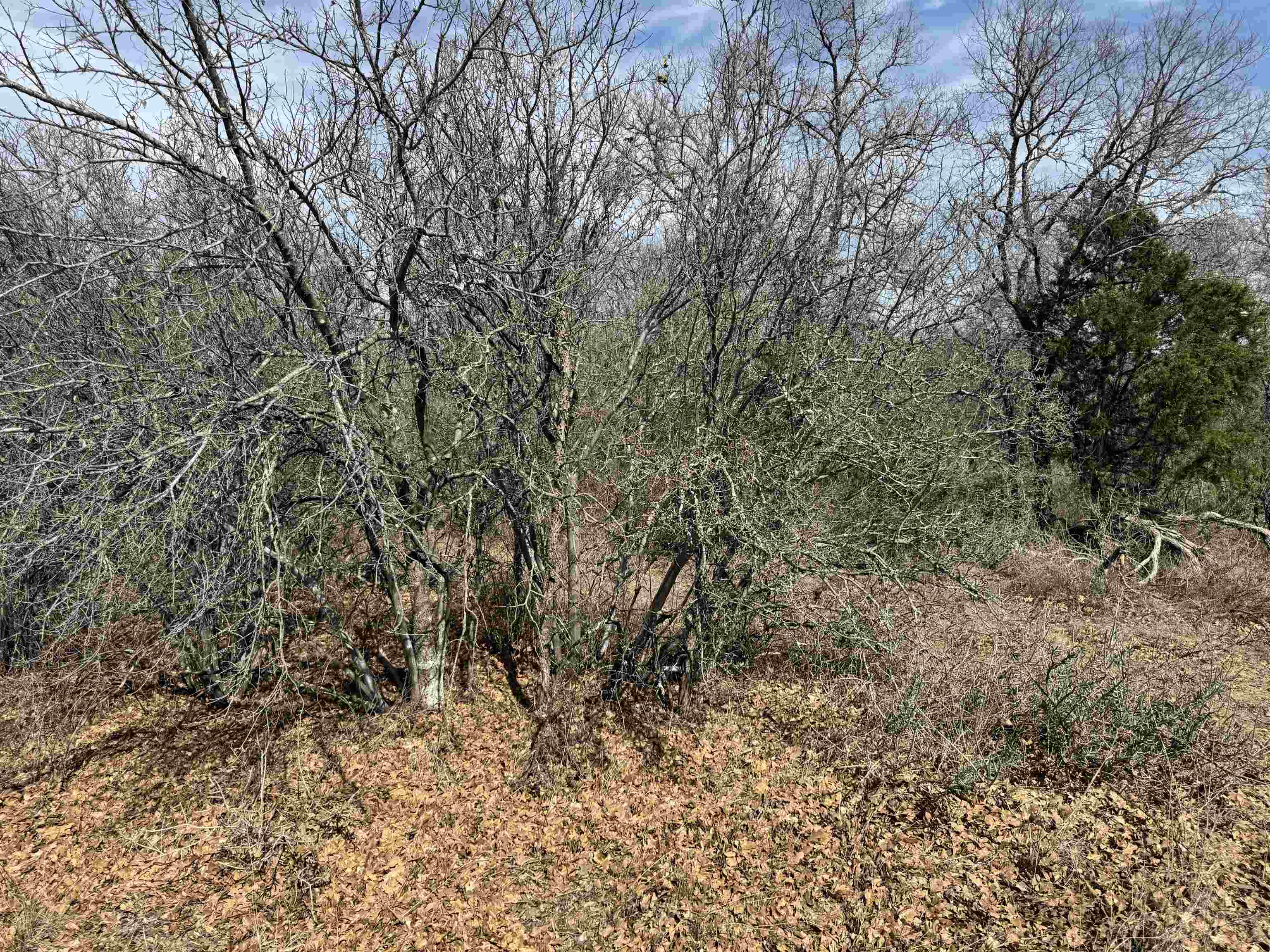 Lot 283-289 Aspermont Drive