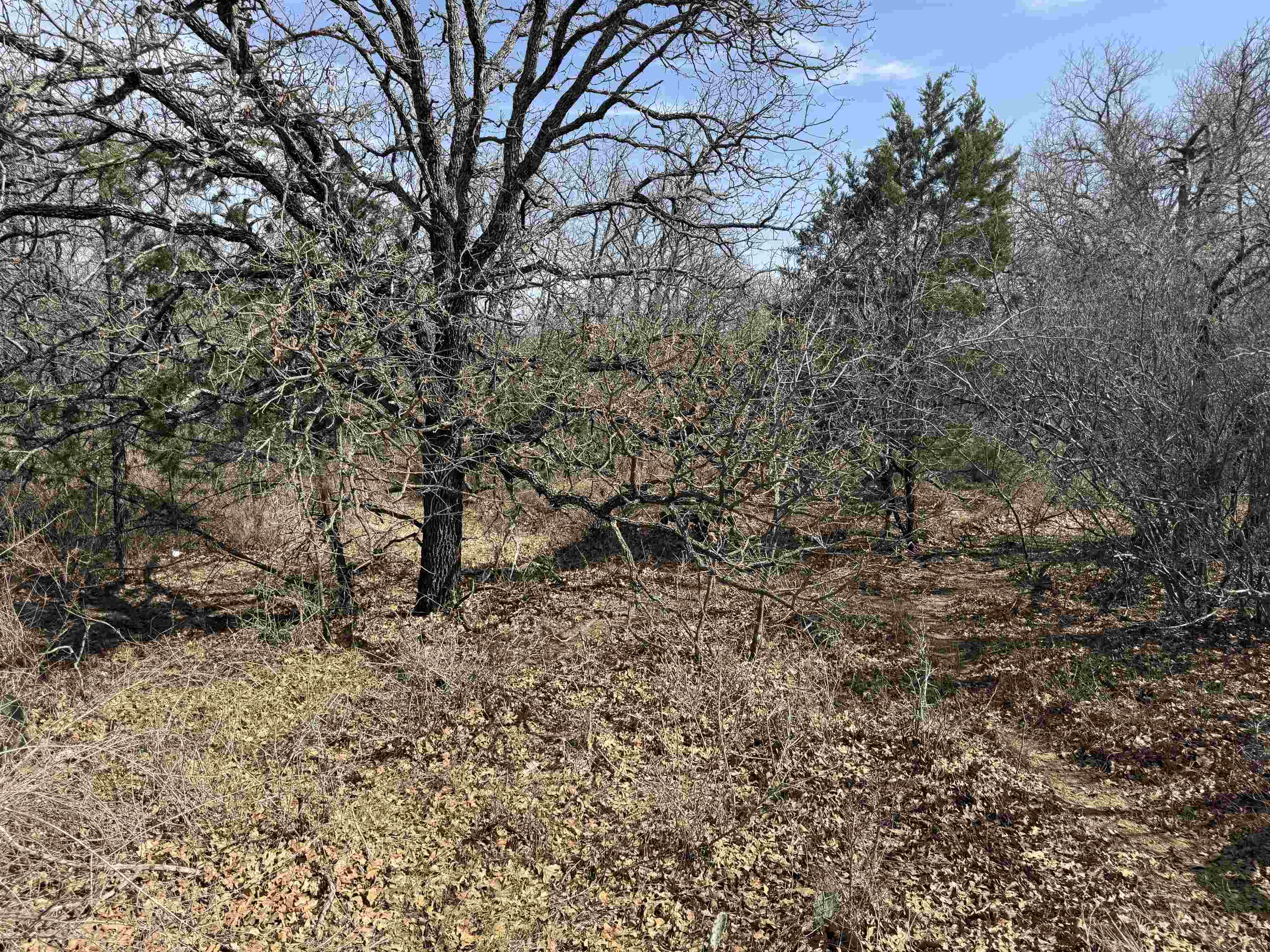 Lot 283-289 Aspermont Drive