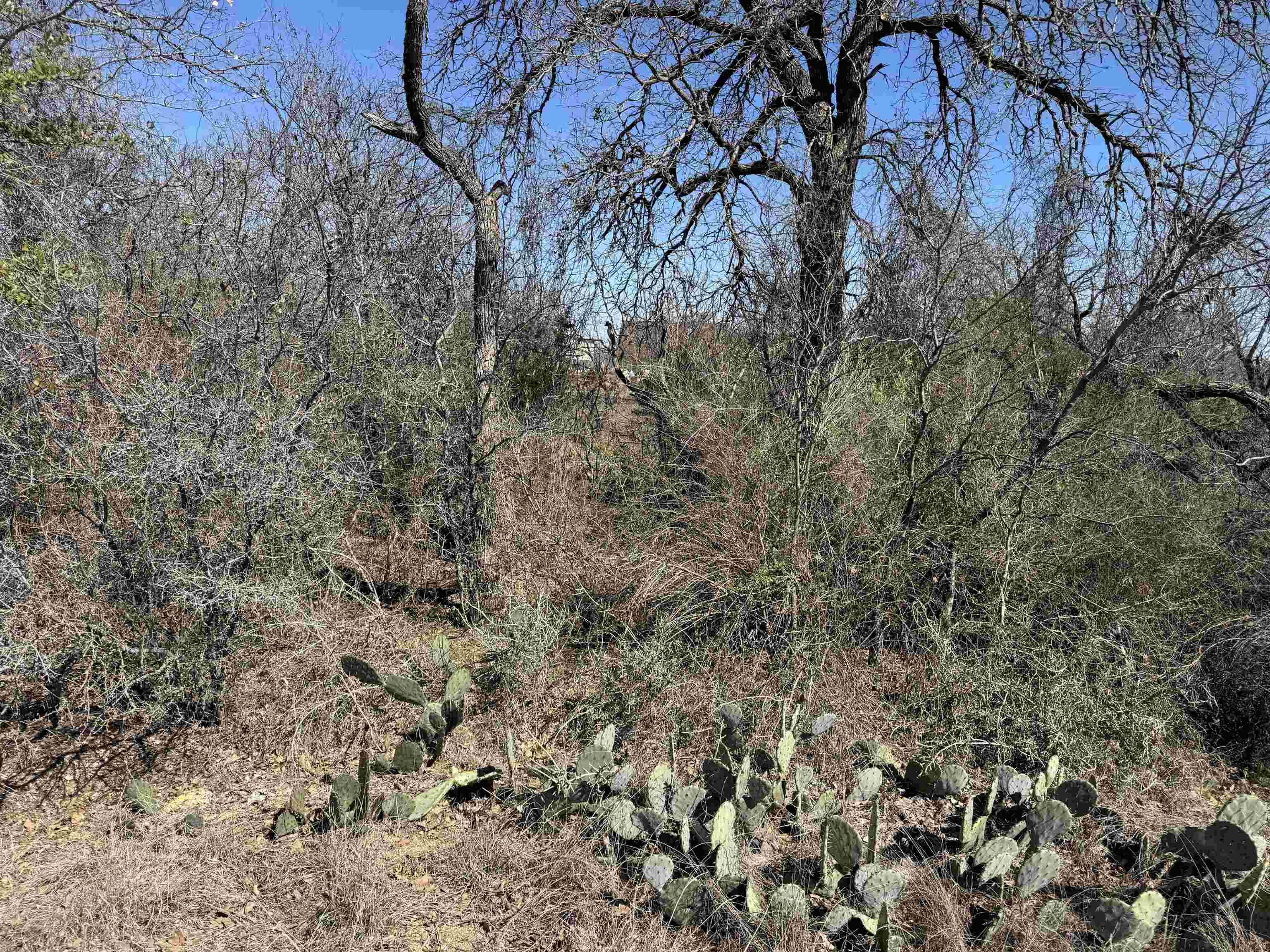 Lot 43 Link Drive