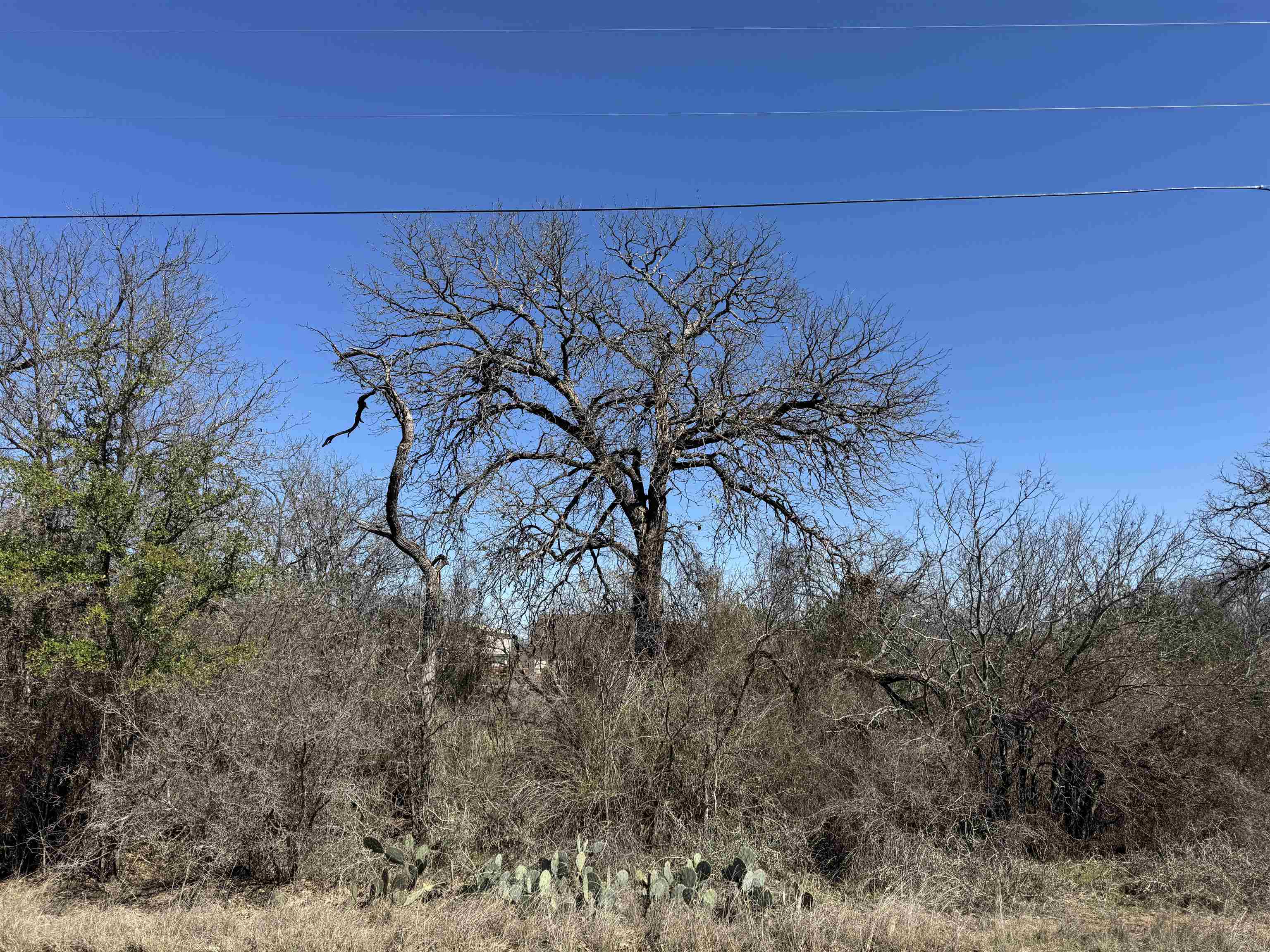 Lot 43 Link Drive