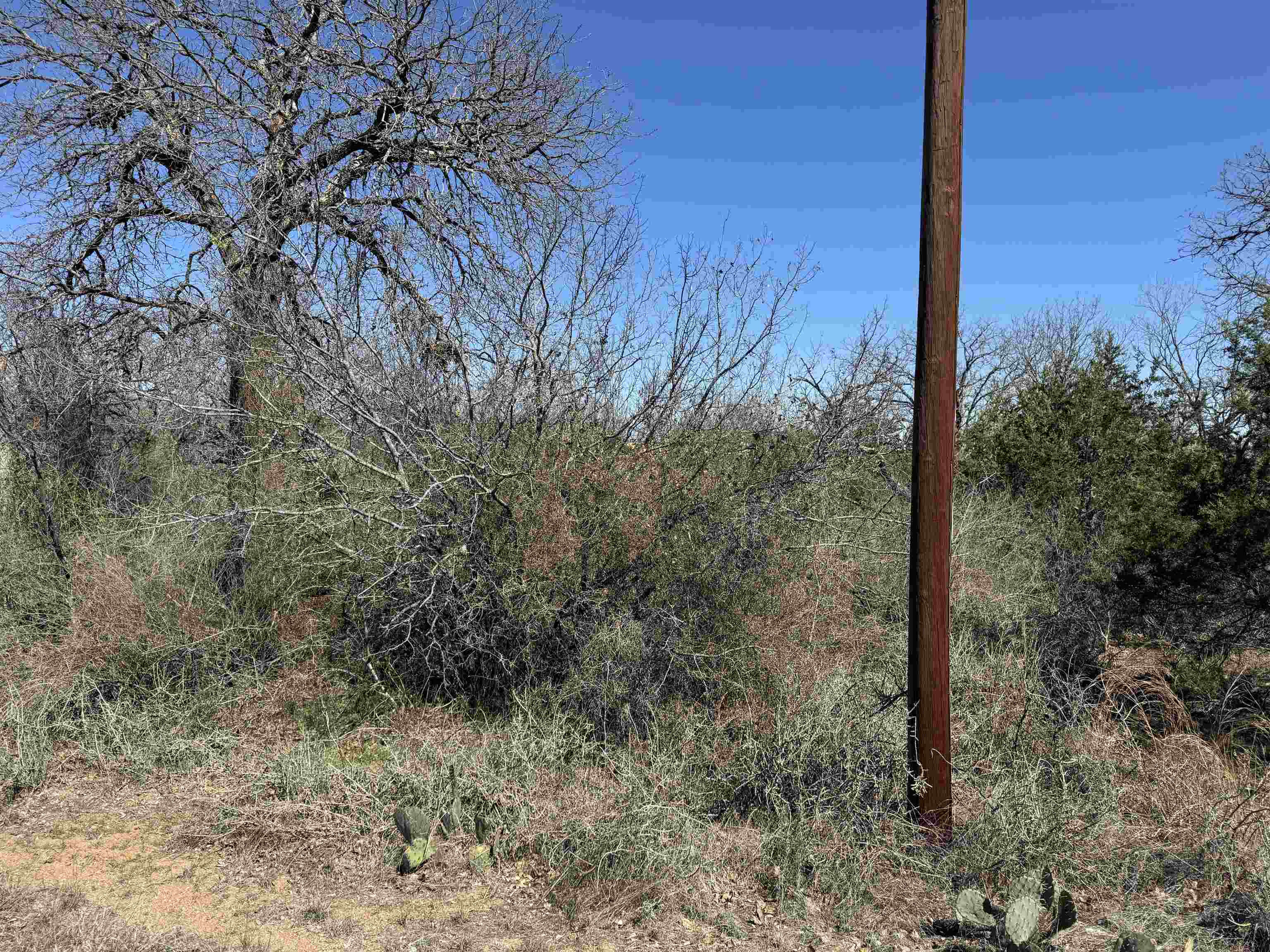 Lot 43 Link Drive