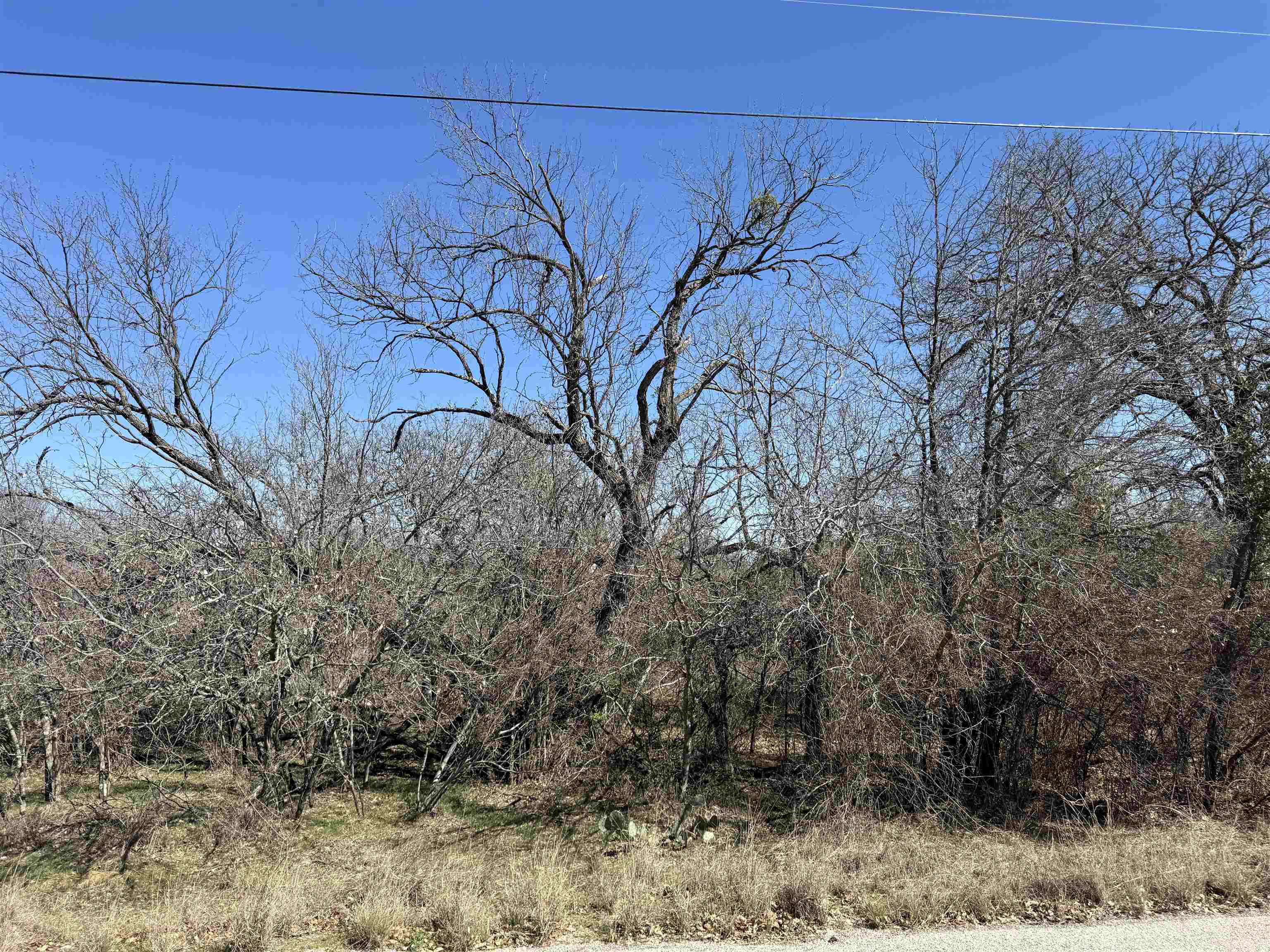Lot 43 Link Drive