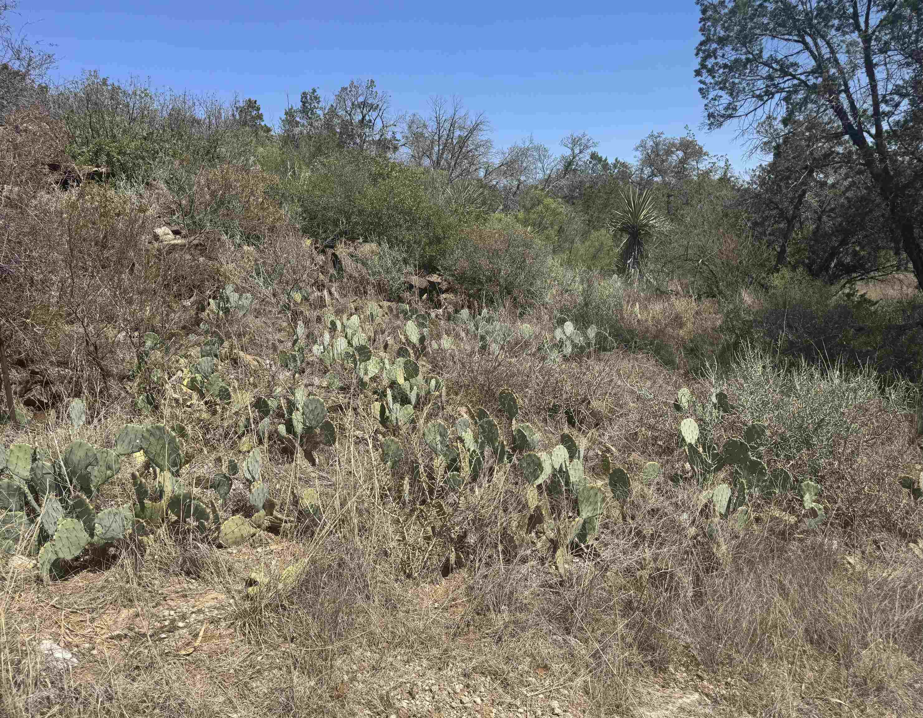 Lot 56 War Bonnet Ridge