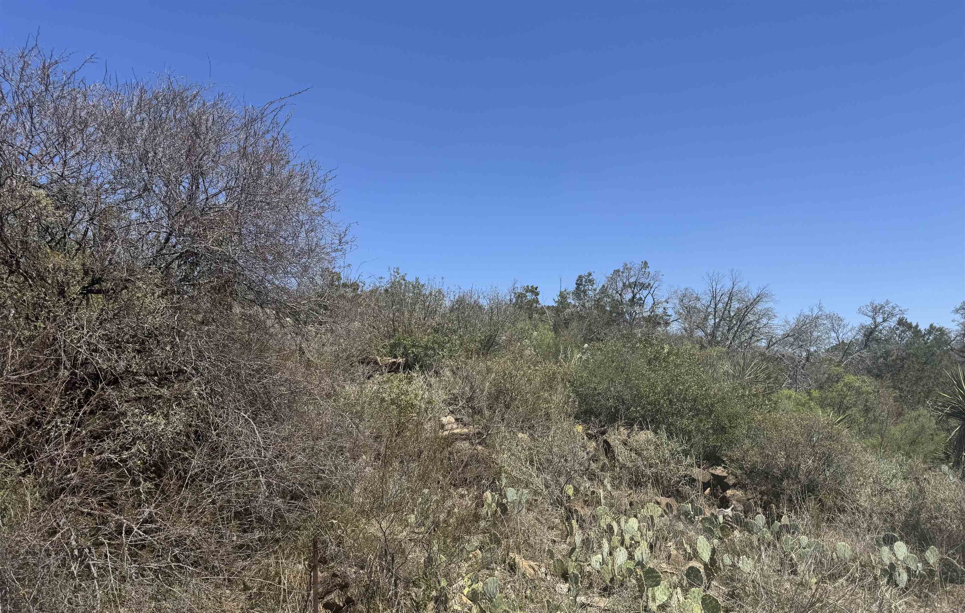 Lot 56 War Bonnet Ridge
