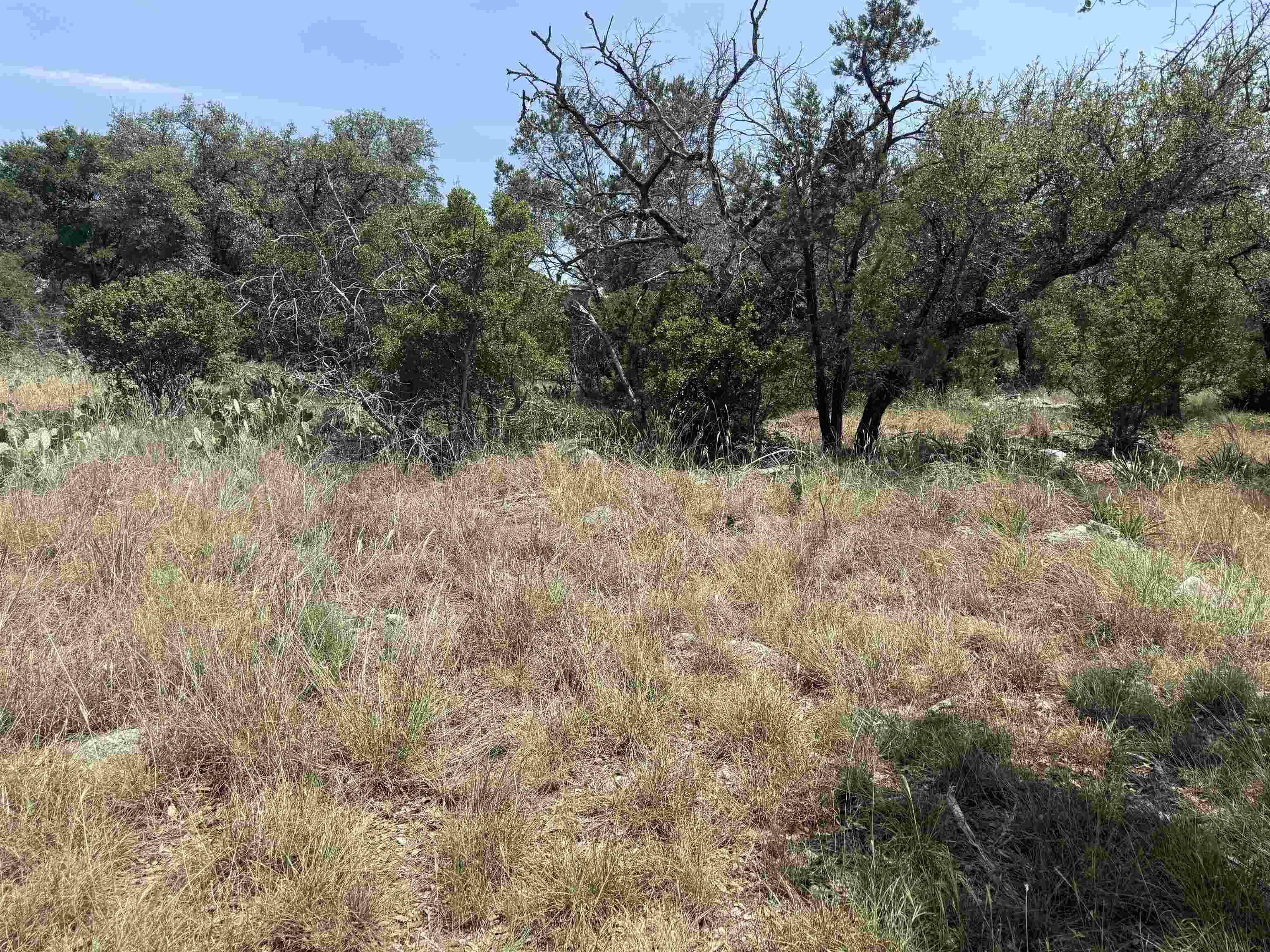 Lot 14068 Hi Mesa Street