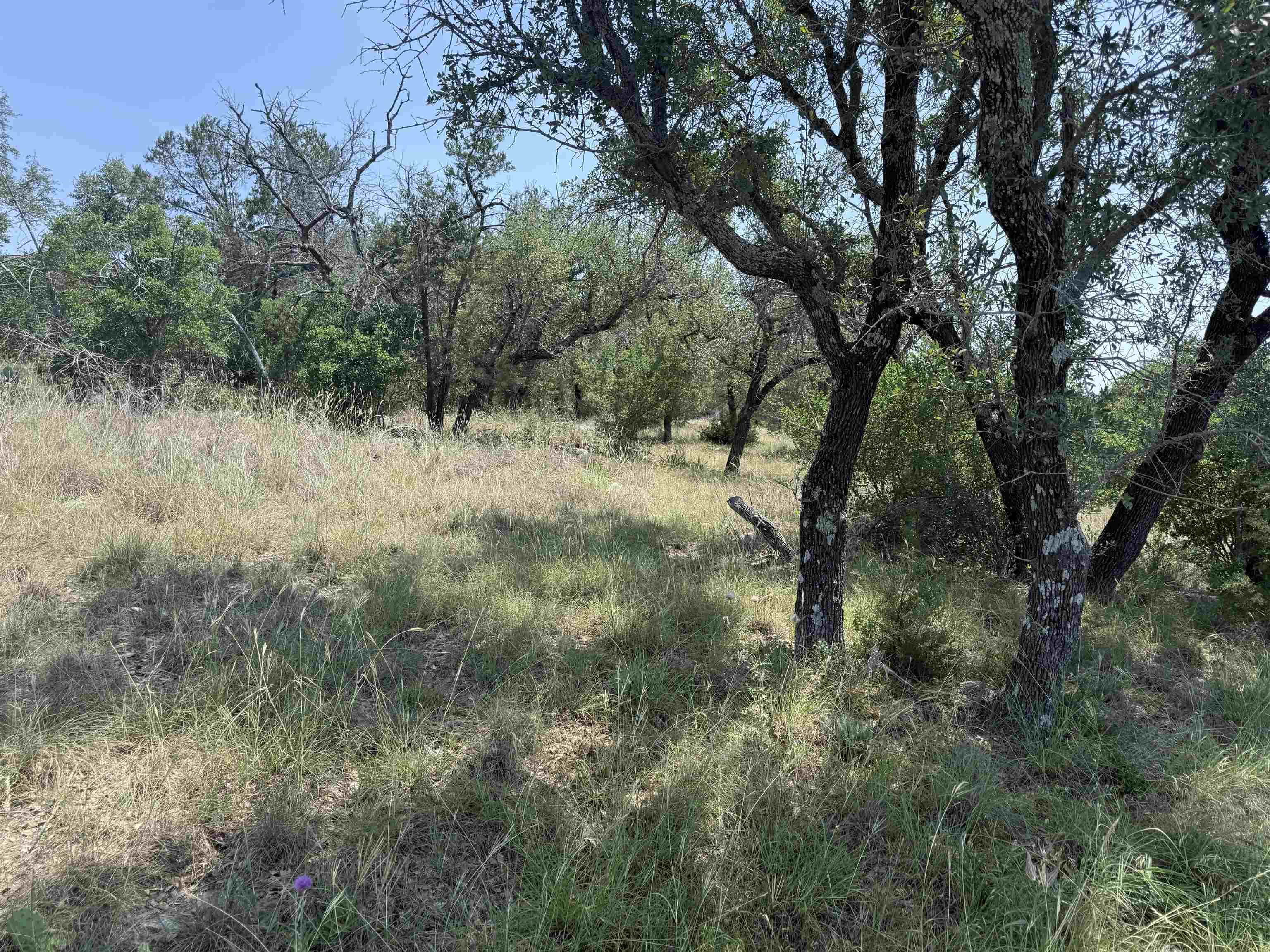Lot 14068 Hi Mesa Street