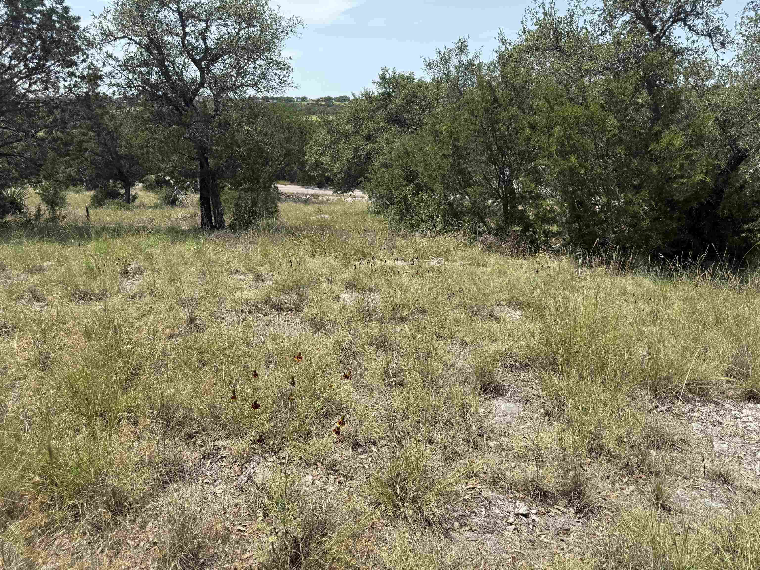 Lot 14068 Hi Mesa Street