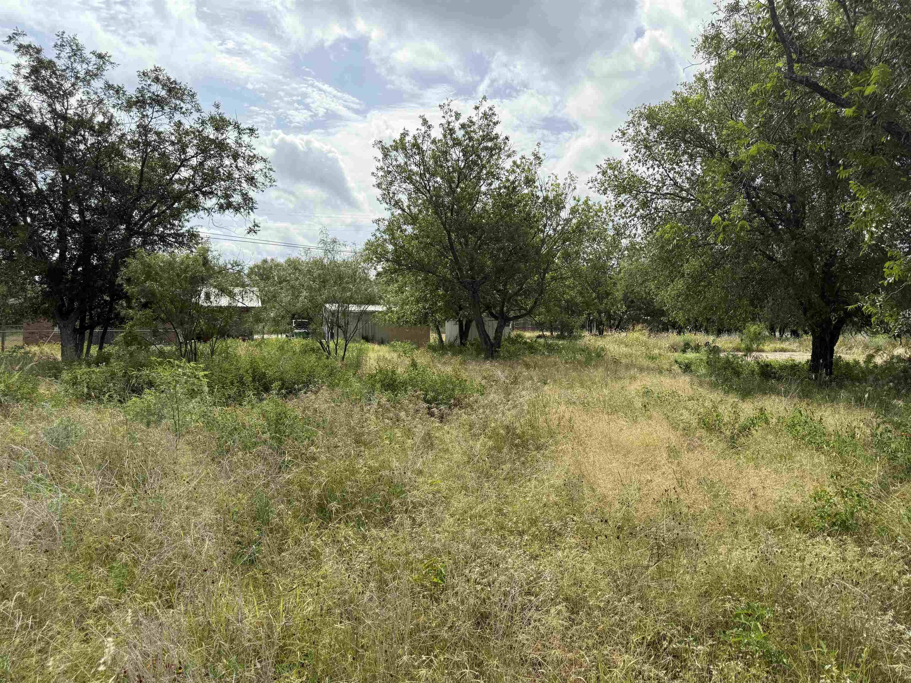 Lot 458 & 459 Fir Lane