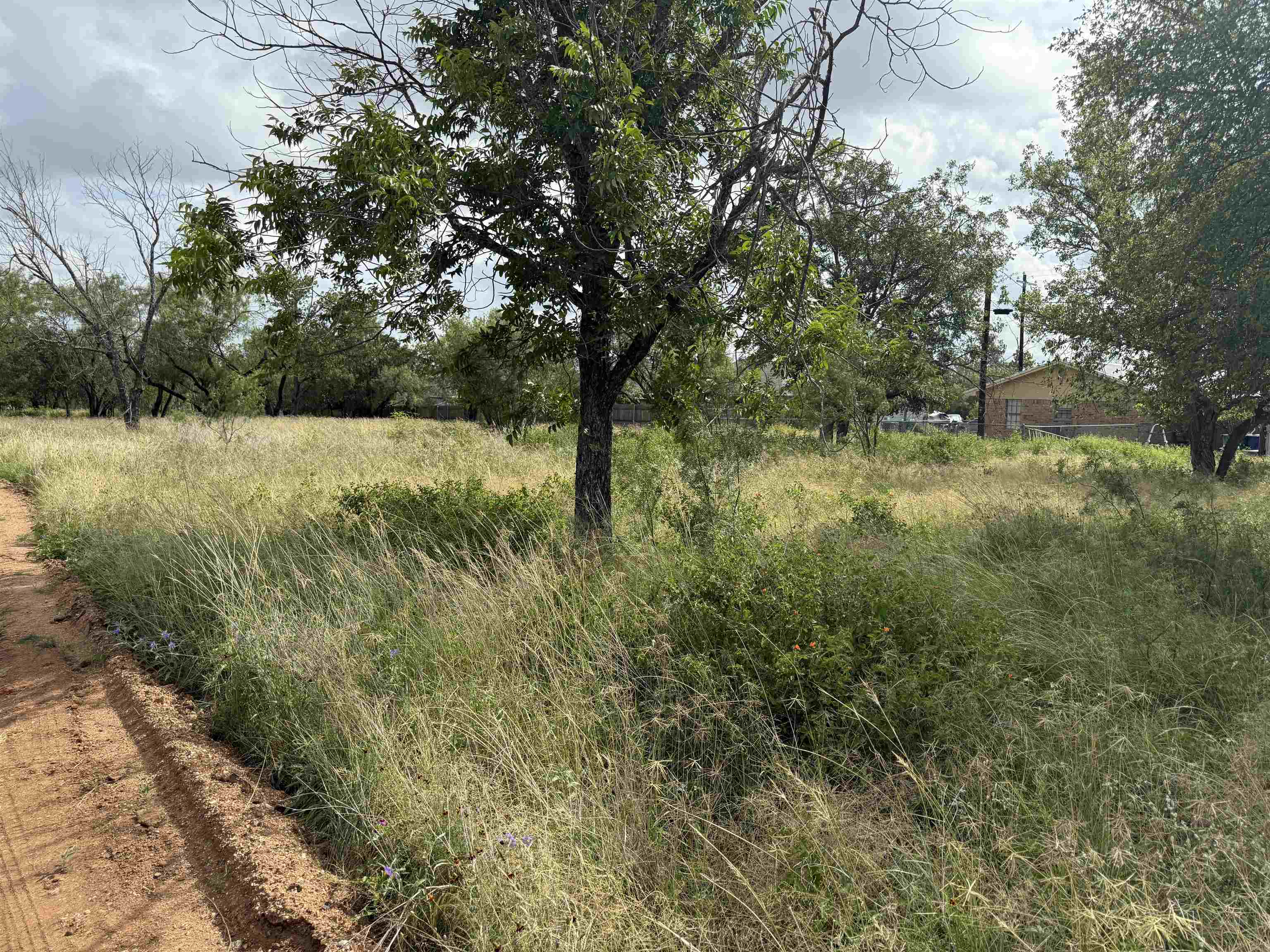 Lot 458 & 459 Fir Lane