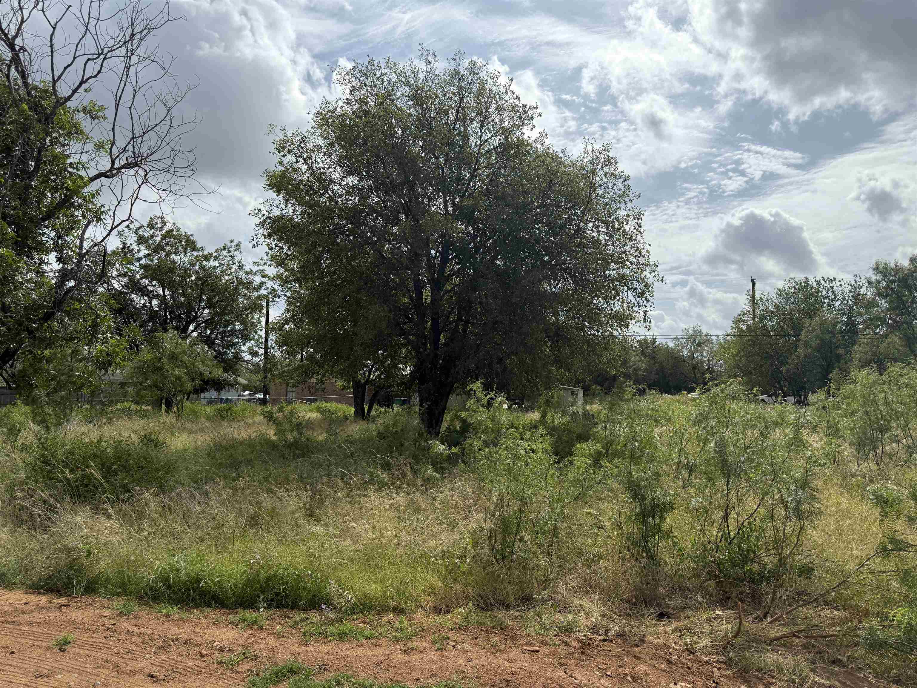 Lot 458 & 459 Fir Lane