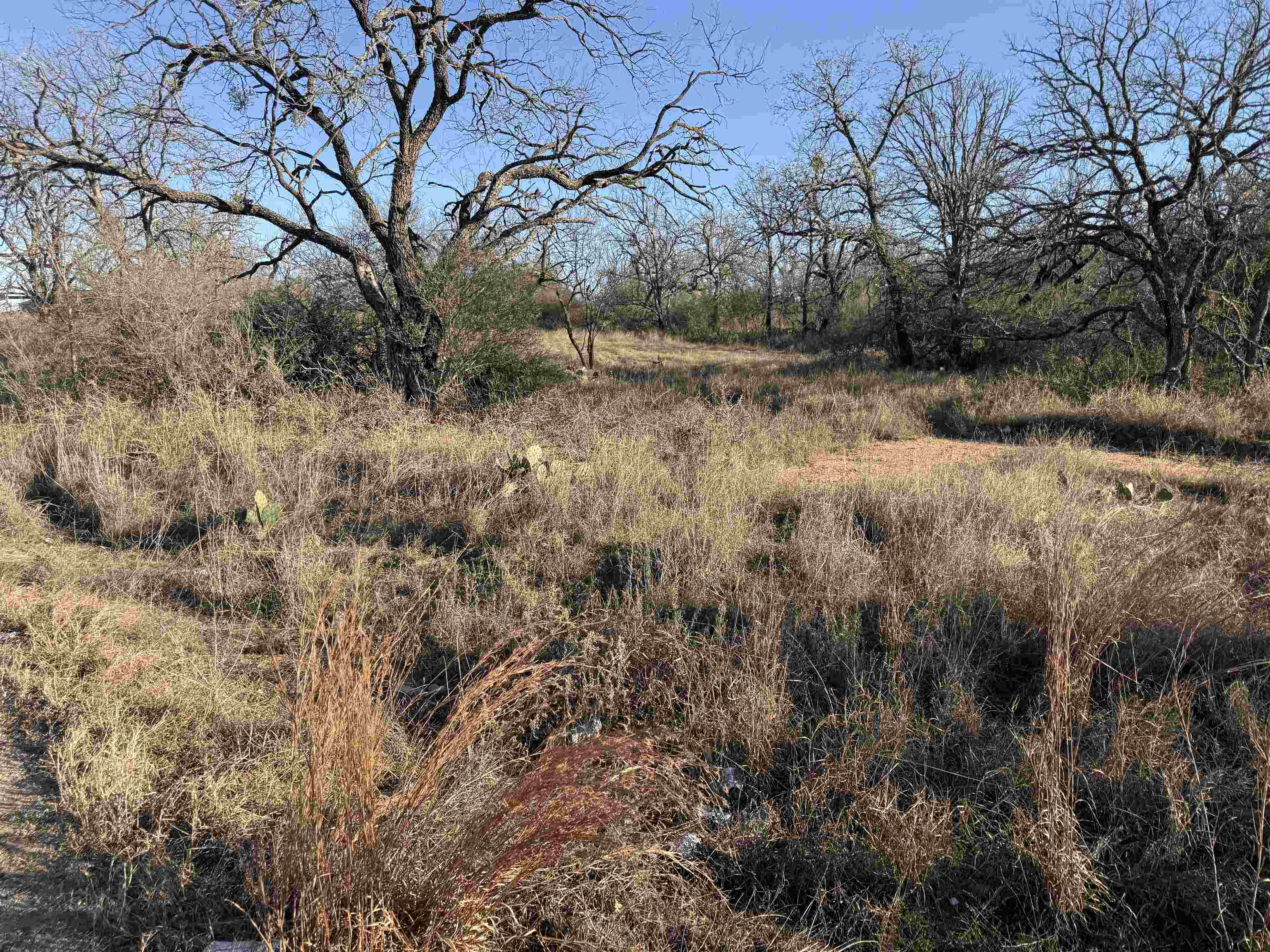 Lot 414 Ridgeway