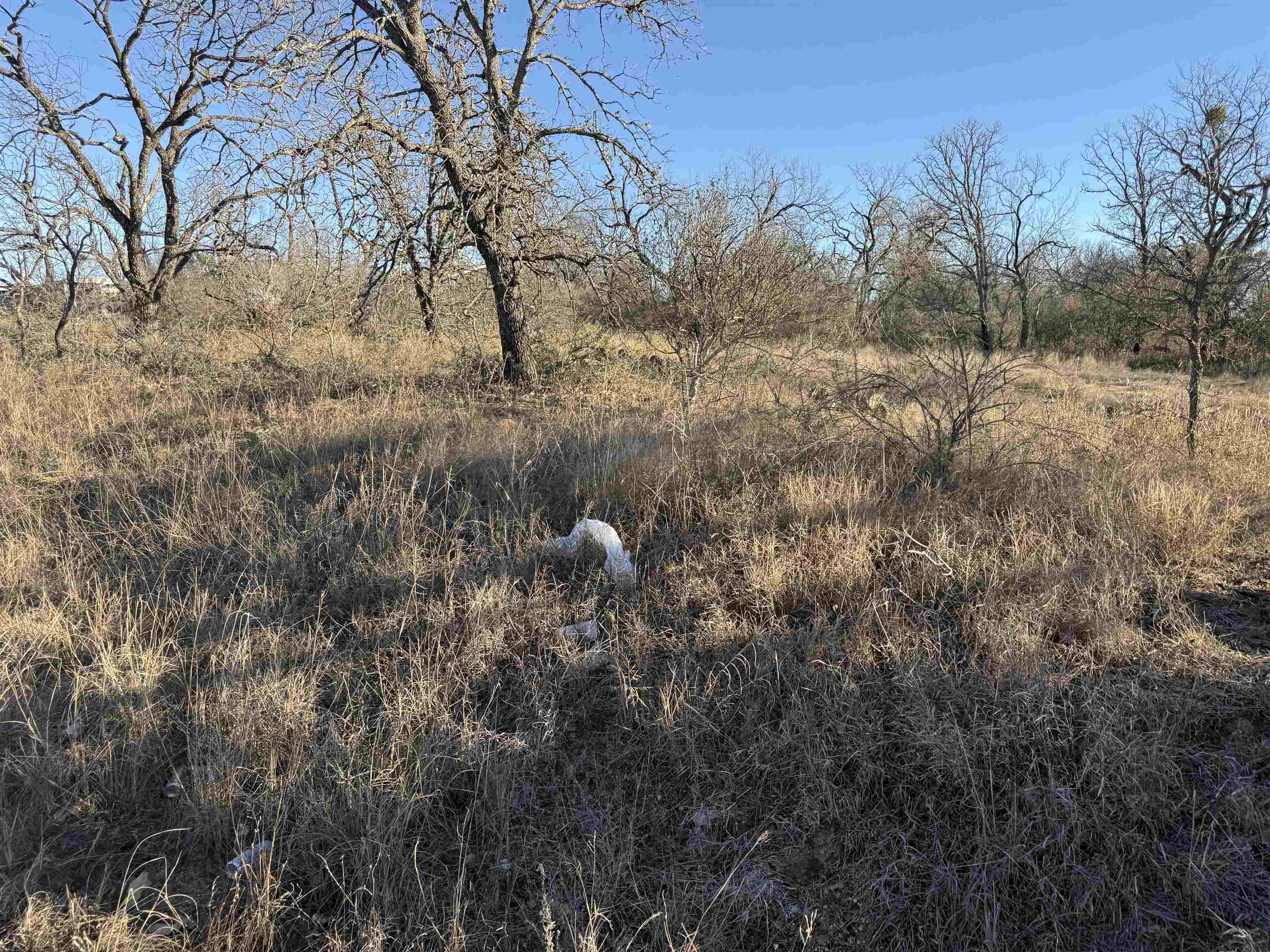 Lot 414 Ridgeway