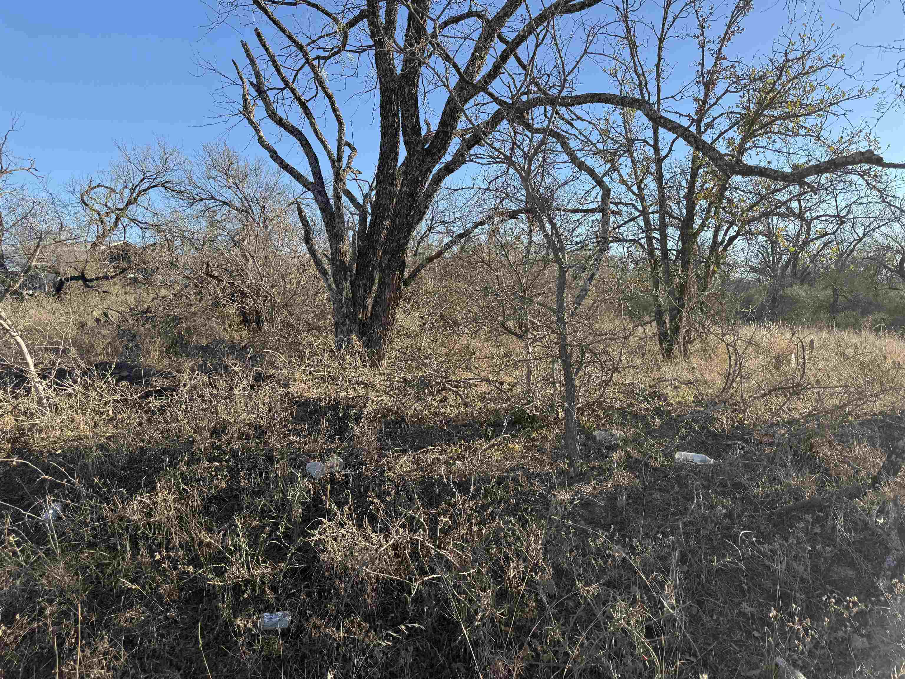 Lot 414 Ridgeway