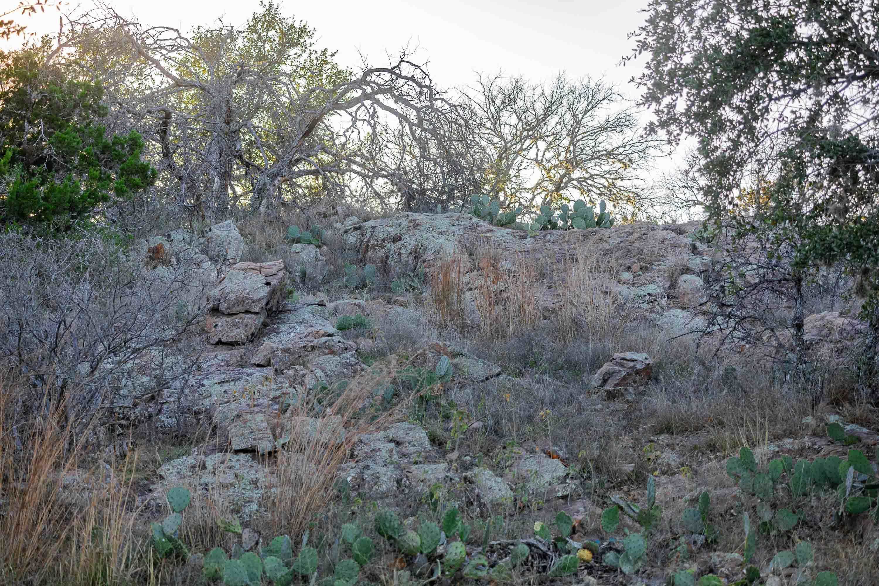 185 Roadrunner Lane