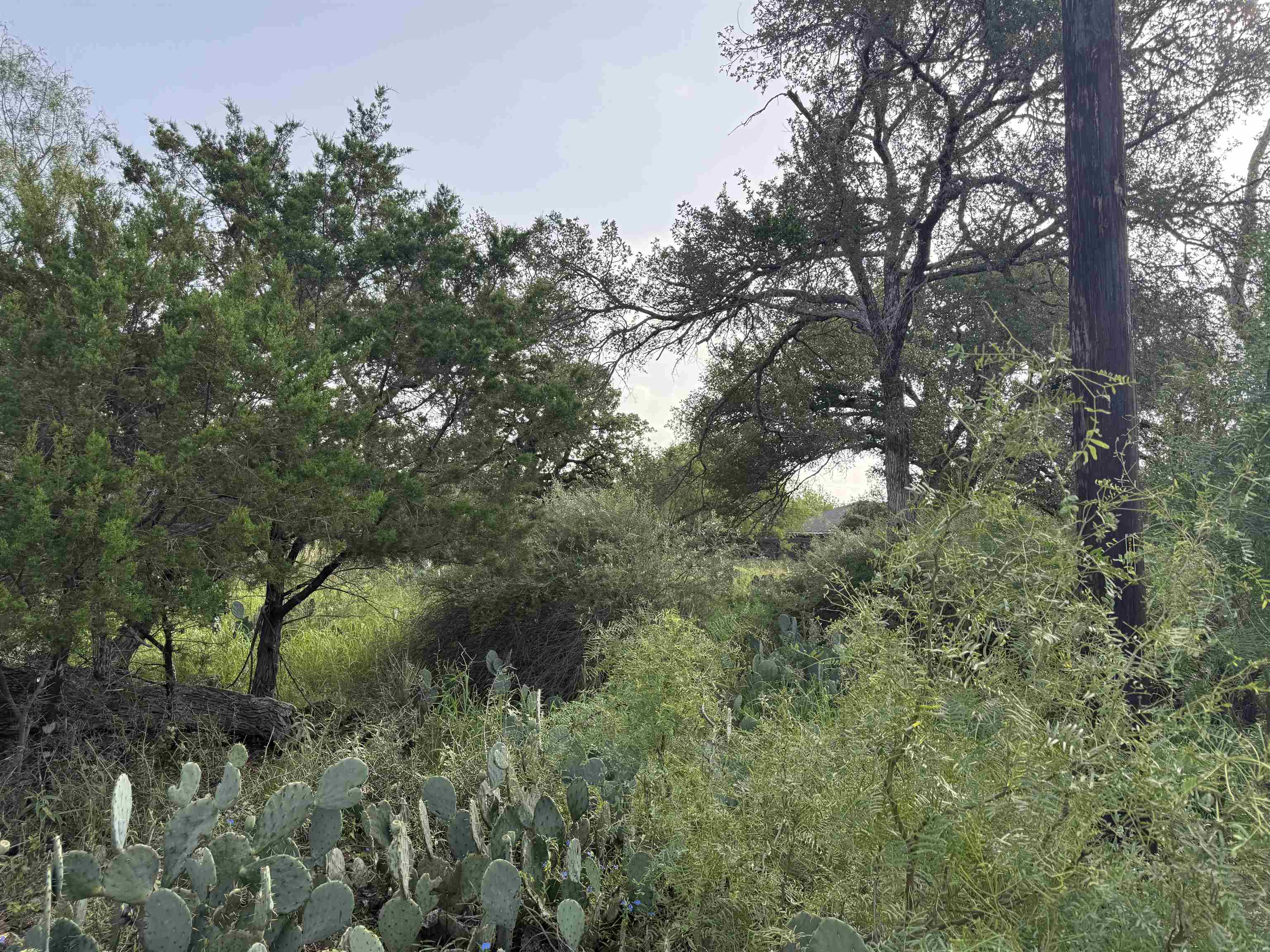 Lot 424 & 425 Oakhill Drive