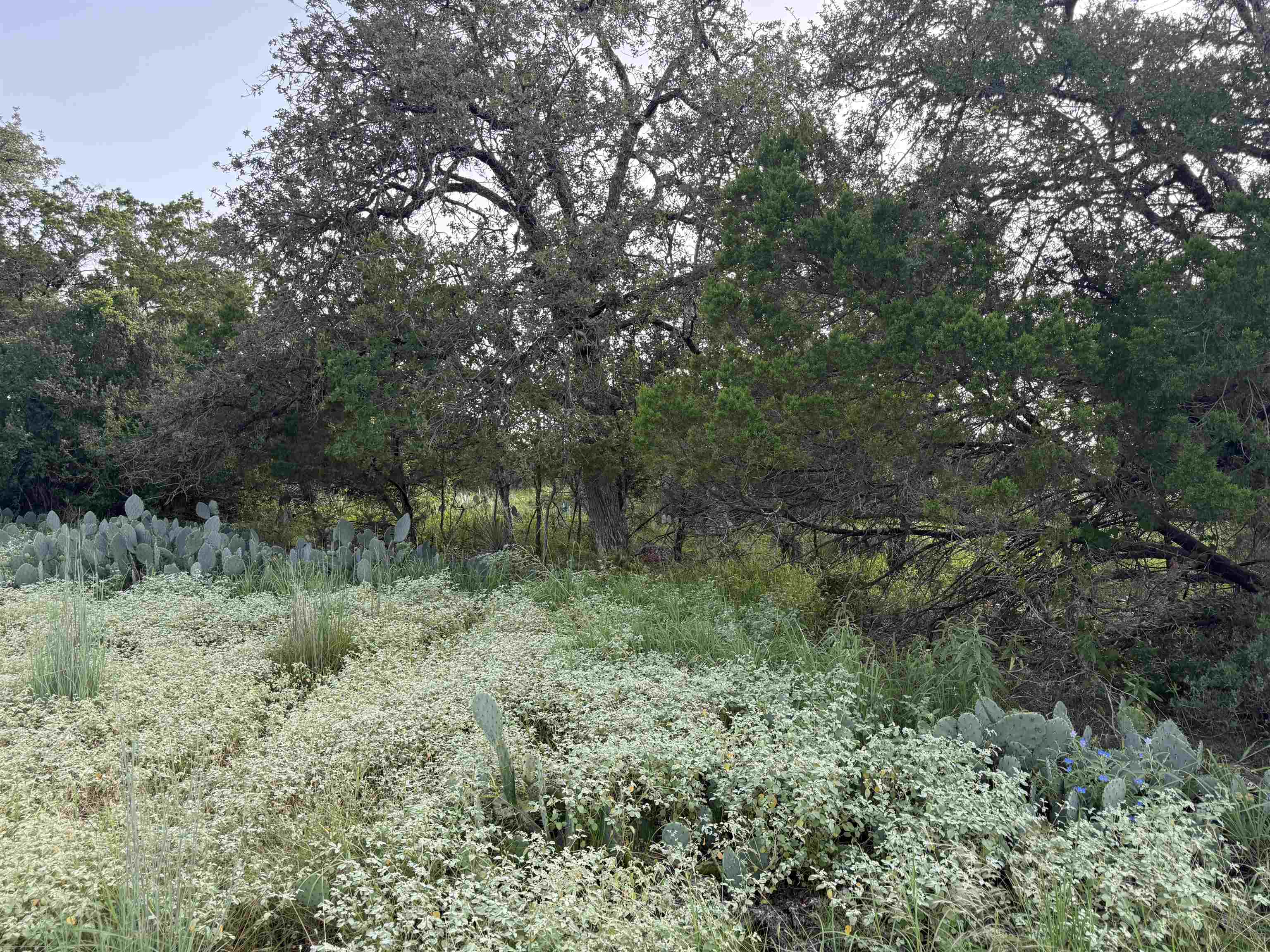 Lot 424 & 425 Oakhill Drive
