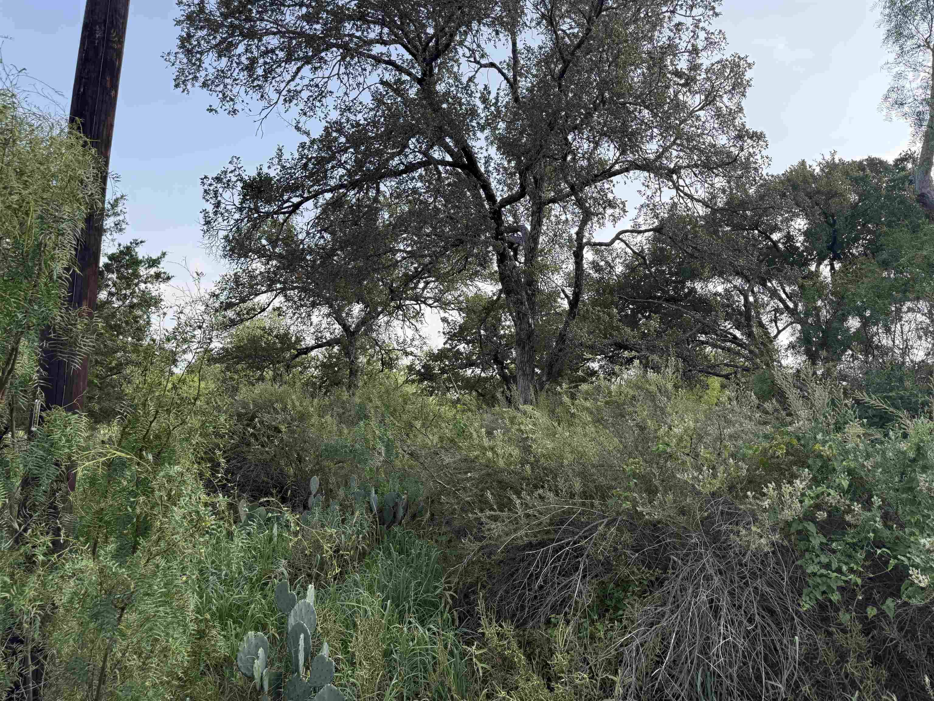 Lot 424 & 425 Oakhill Drive
