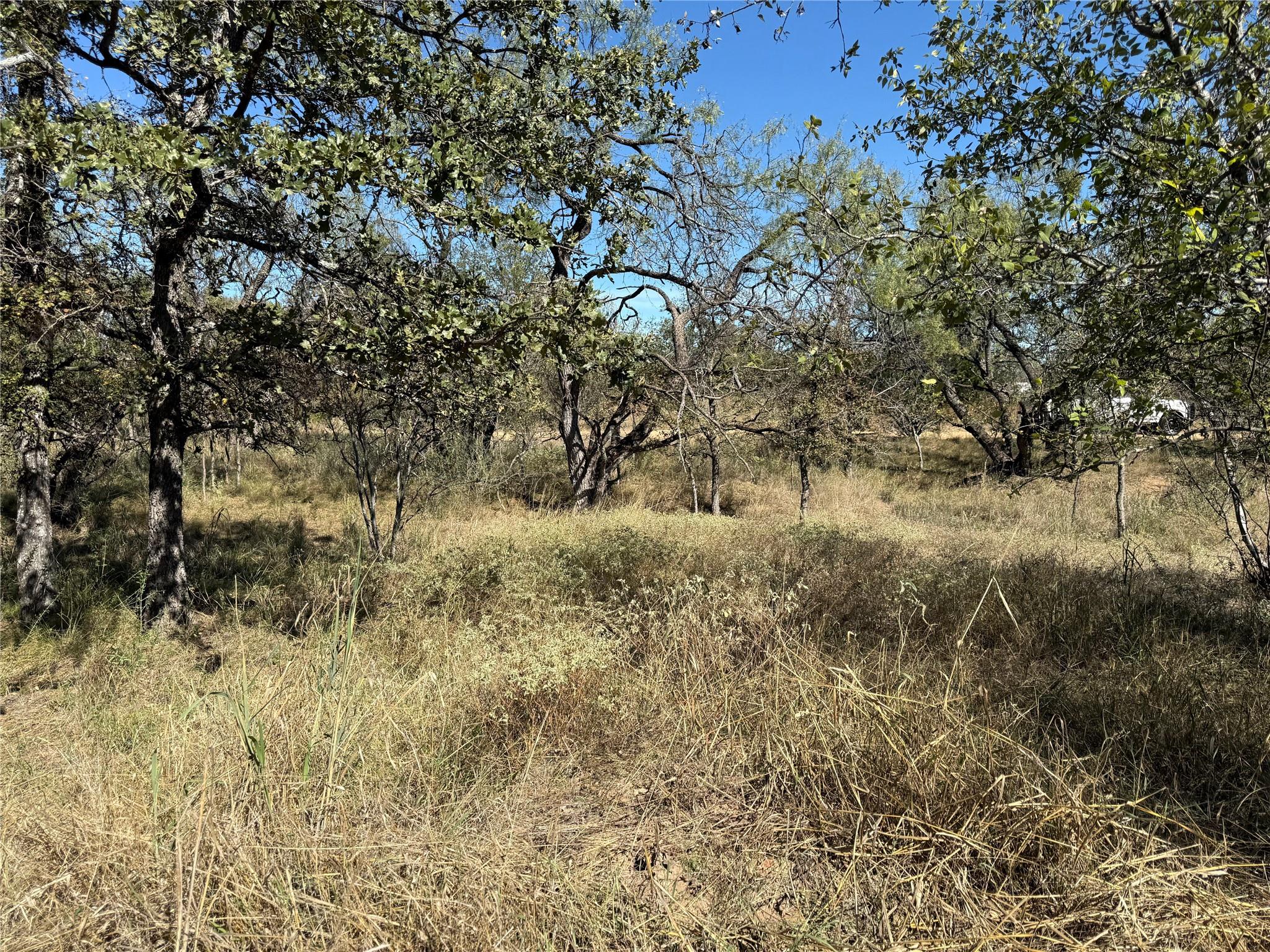Lot 187 Longmont ST