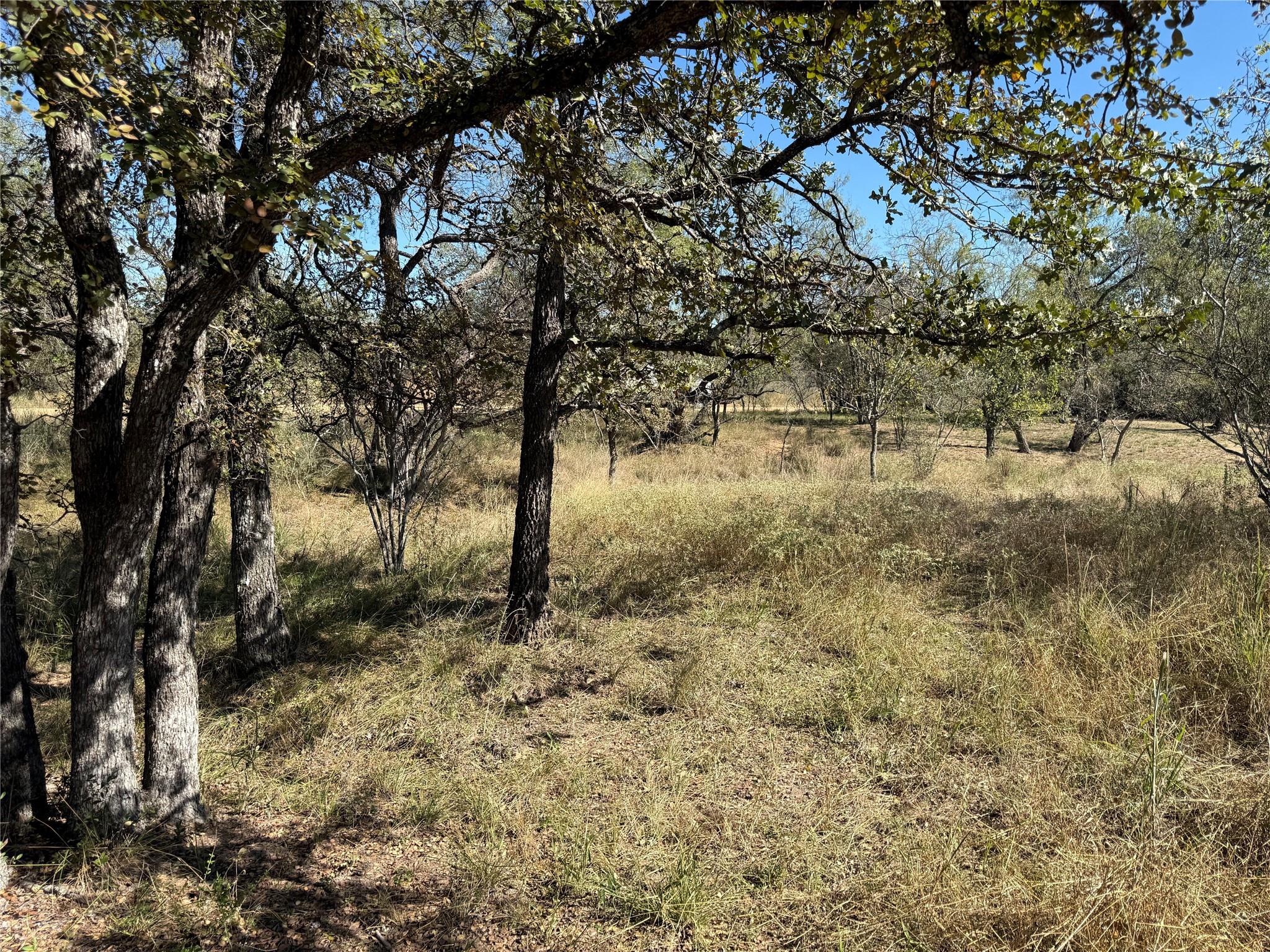 Lot 187 Longmont ST