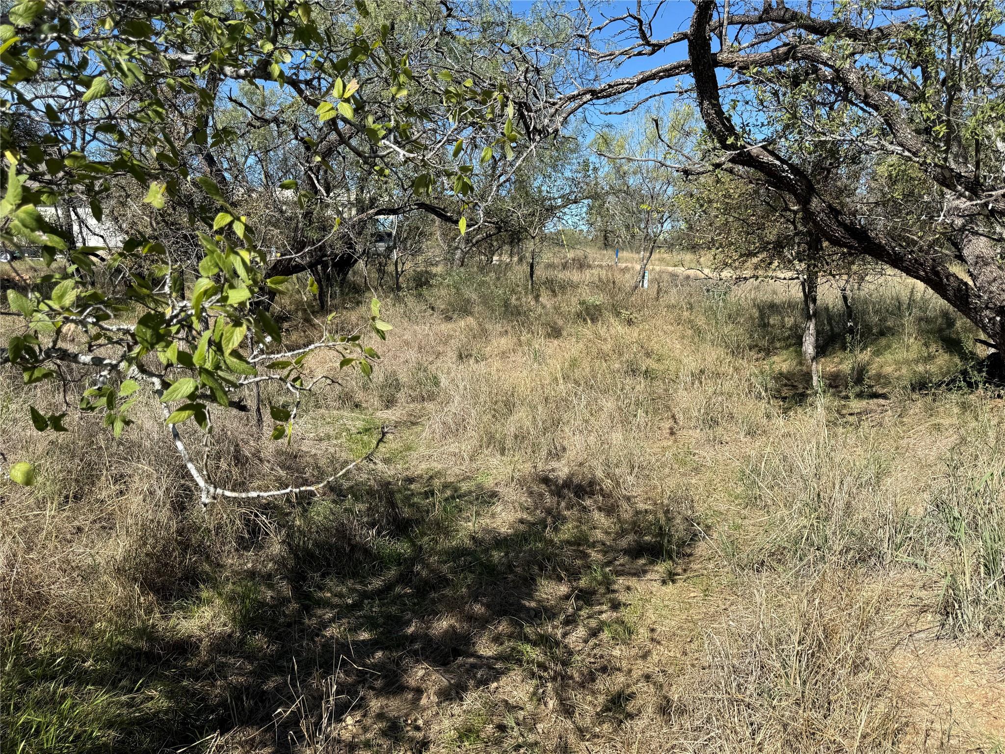 Lot 187 Longmont ST