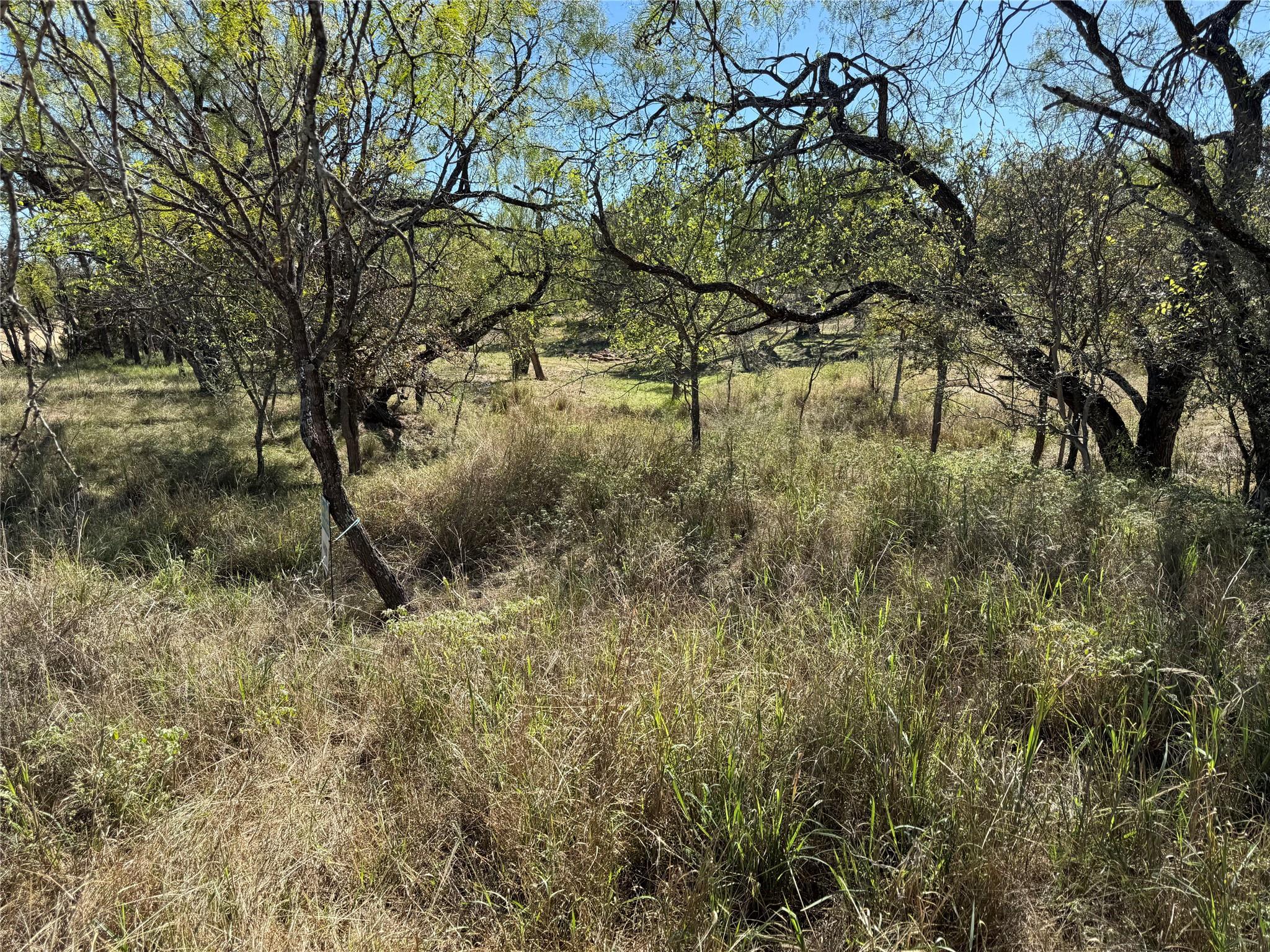 Lot 187 Longmont ST