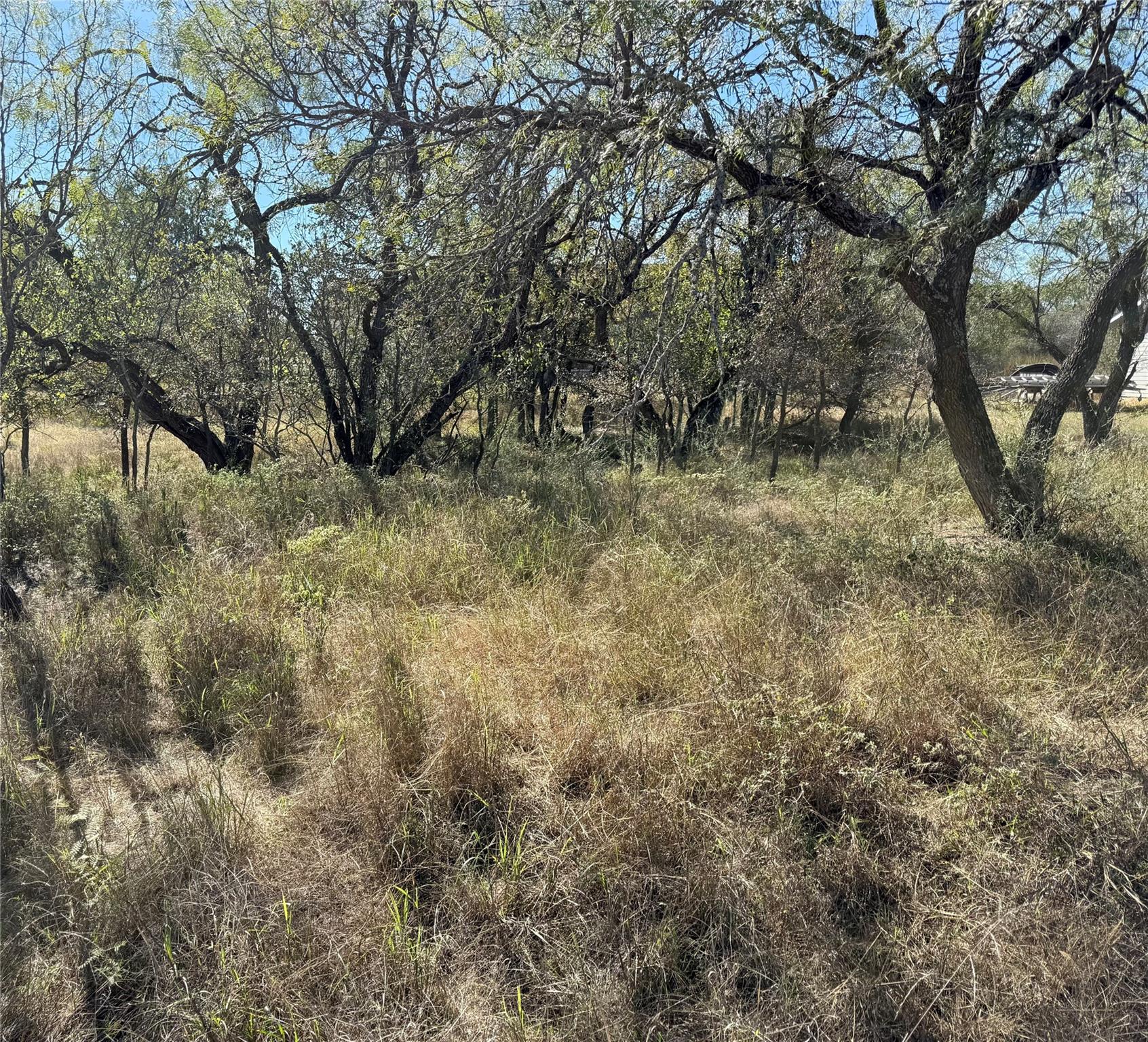 Lot 187 Longmont ST