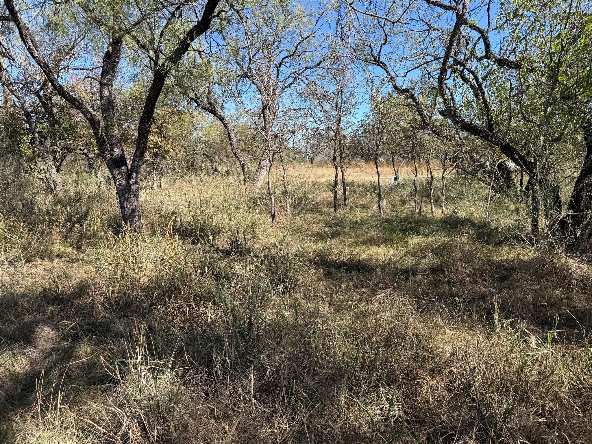 Lot 187 Longmont ST