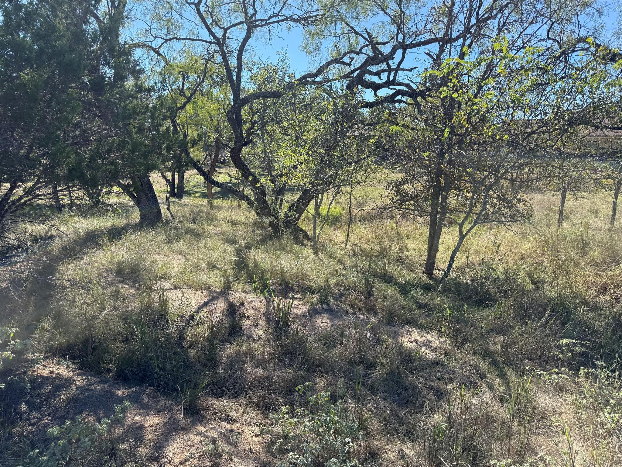 Lot 187 Longmont ST