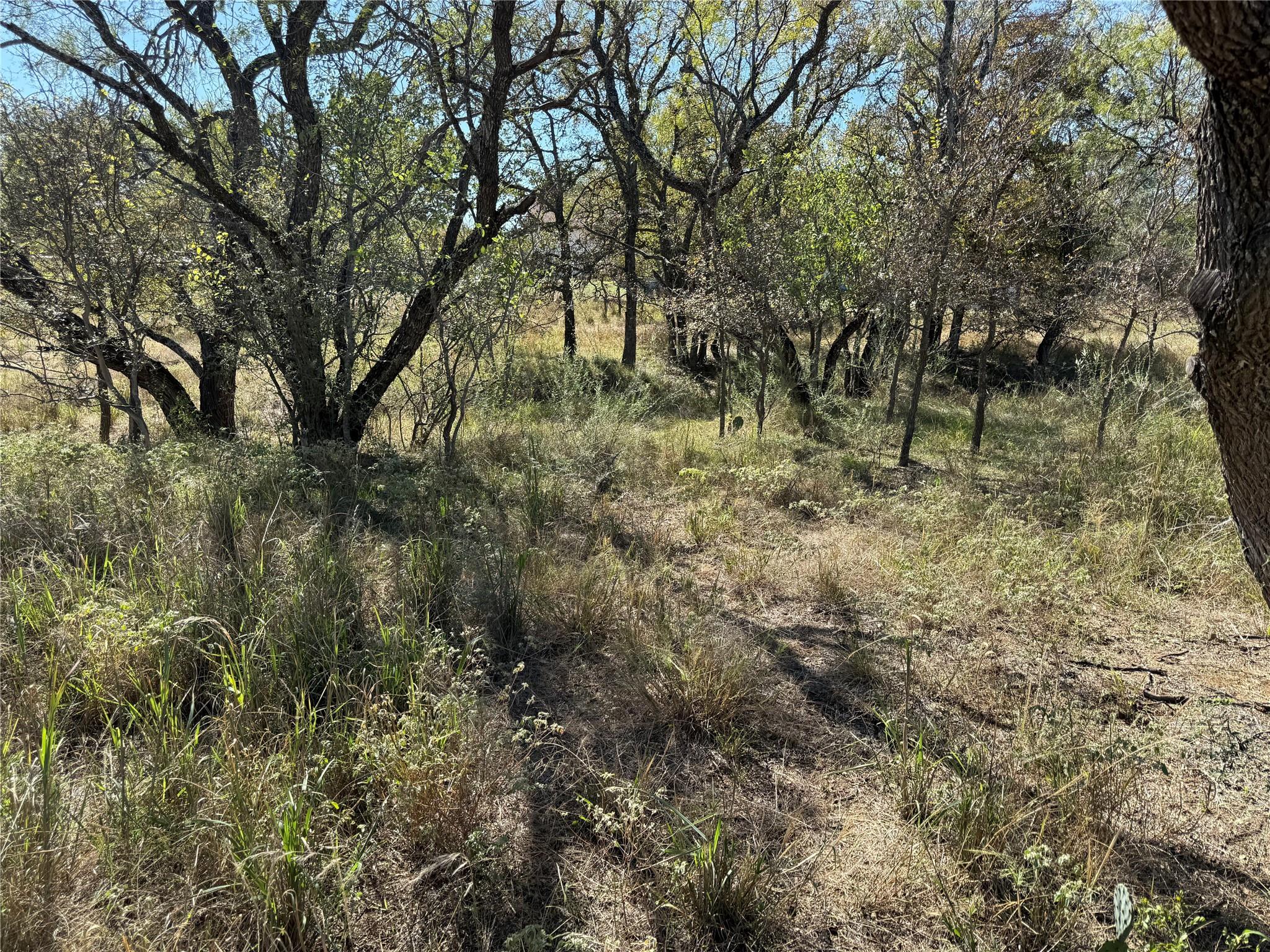 Lot 187 Longmont ST