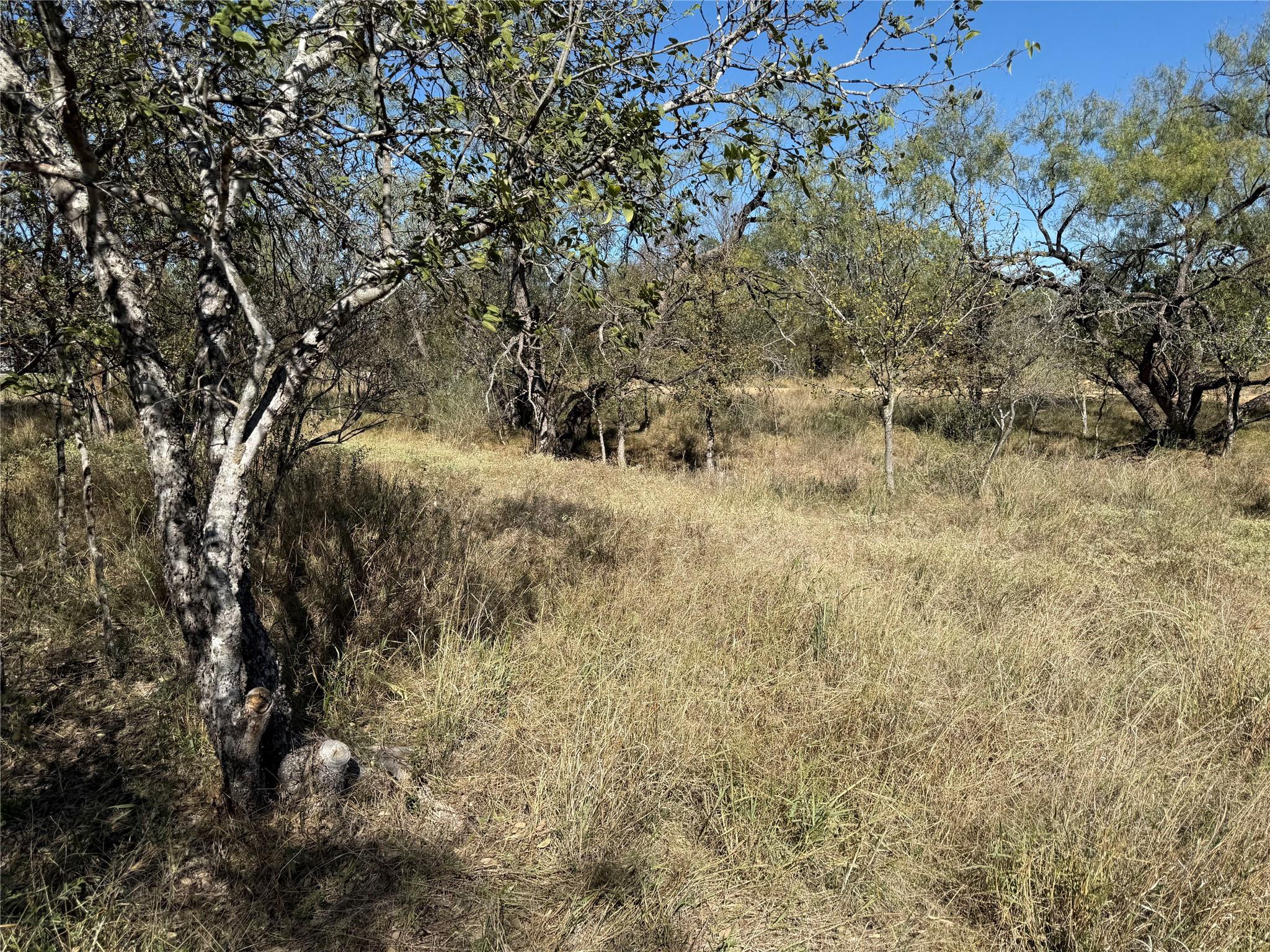 Lot 187 Longmont ST